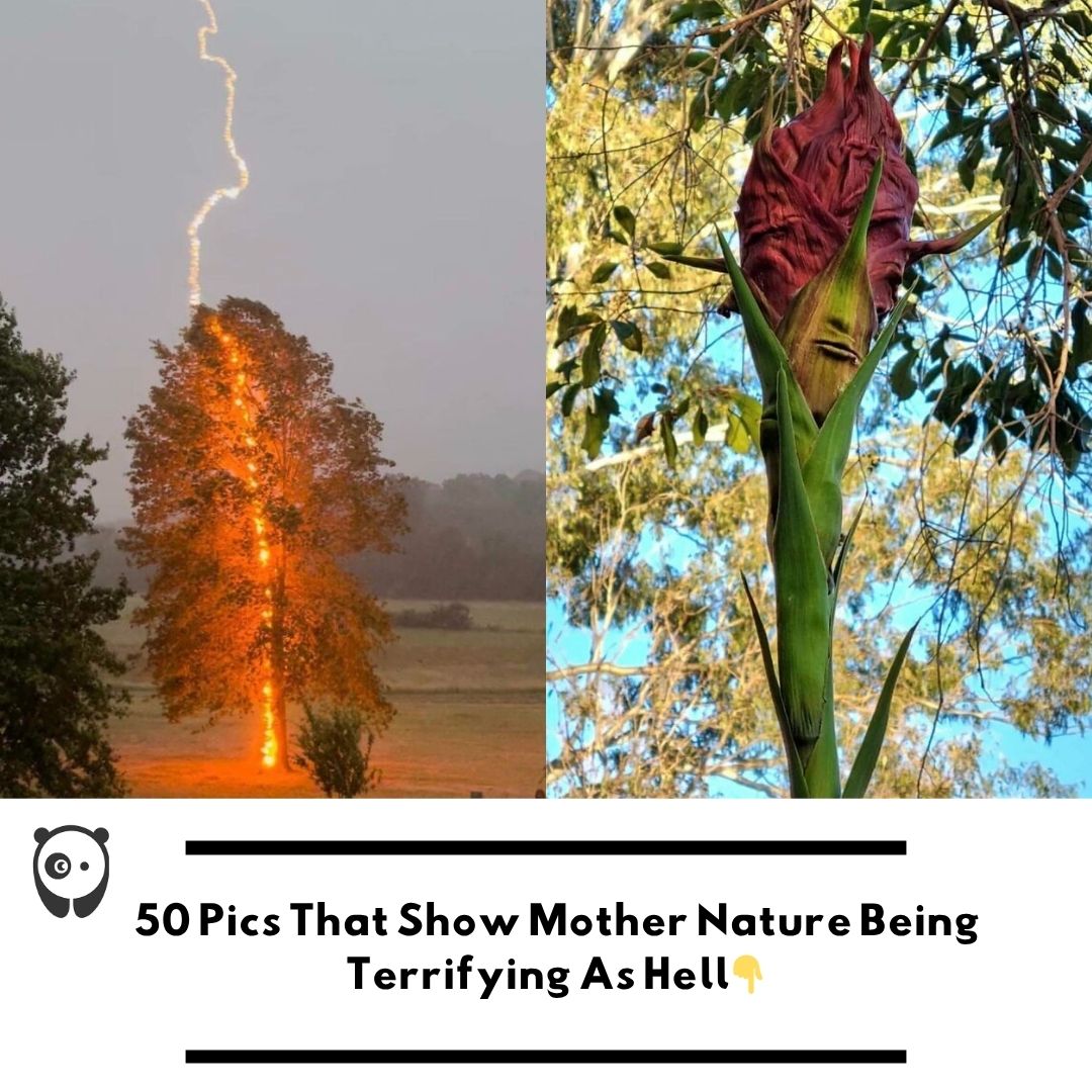 50 pics that show mother nature being terrifying as hell . Click link in bio for more!