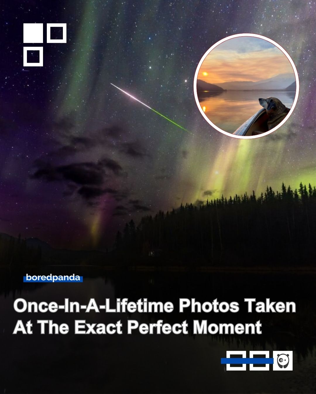 Once-in-a-lifetime photos taken at the exact perfect moment. Click link in bio for more!