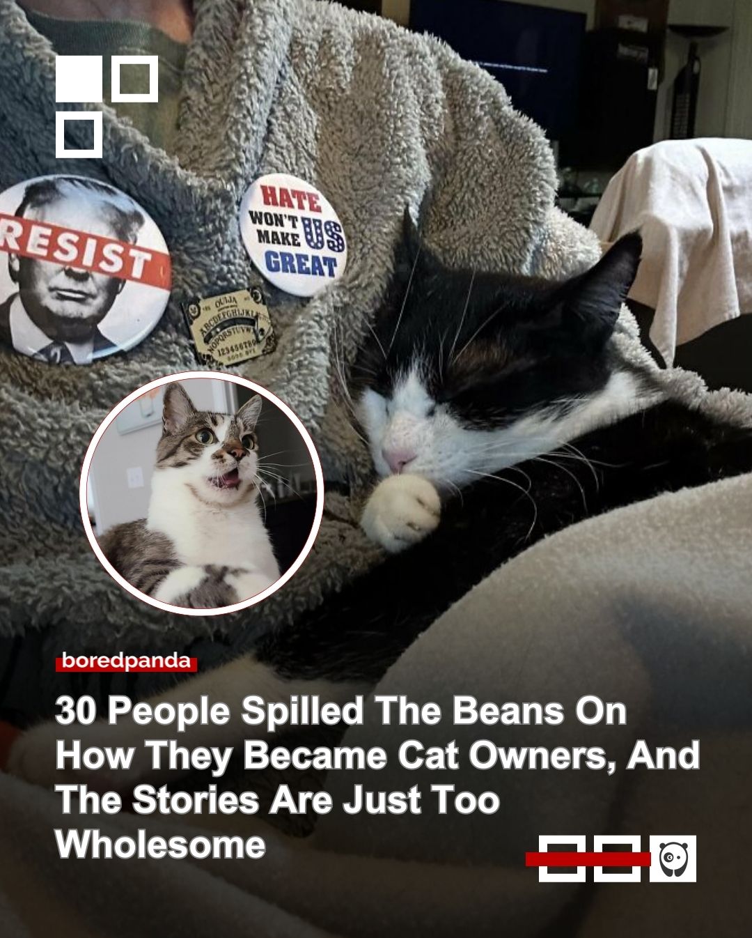 Pets make life better, no debate there. But cats? They’ve had people wrapped around their paws for centuries.

Cute, chaotic, independent, and oddly comforting, they somehow turn a house into a home. We’ve gathered heartwarming stories from people who welcomed cats into their lives and never looked back. Read them at the link in our bio.