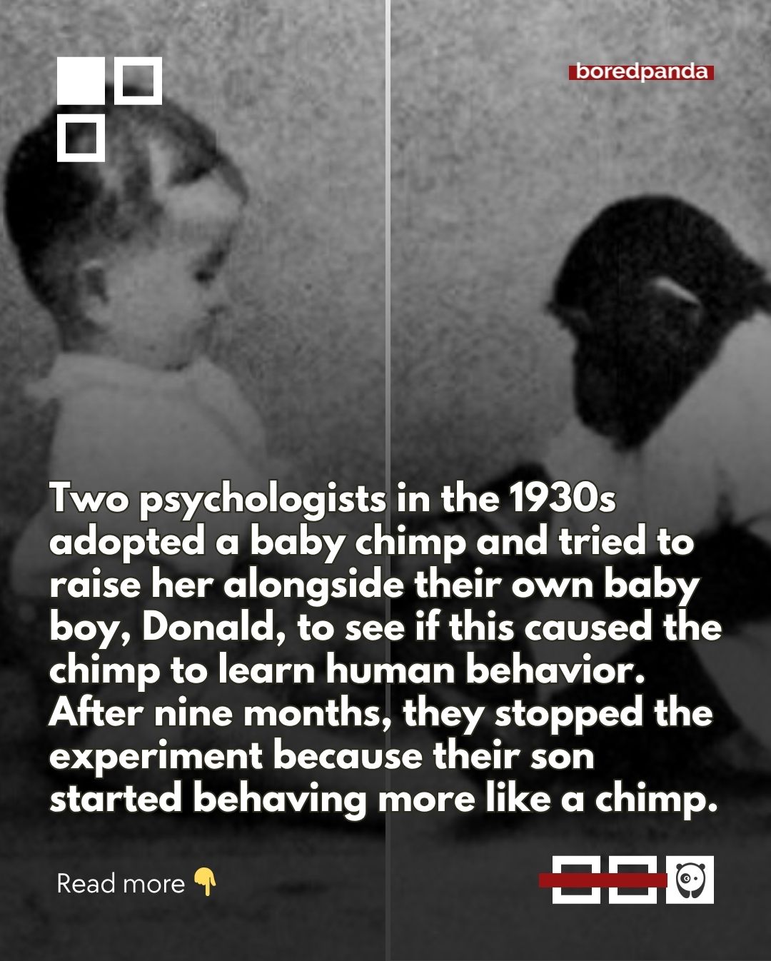‘Old School Creepy’ is an online community dedicated to haunting vintage photos and stories behind them, and we’ve gathered 27 of the most unsettling ones. 

See them all at the link in our bio!

#history #scary #viral