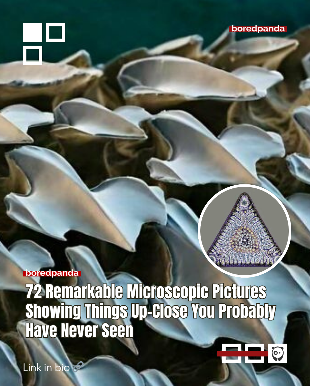 Ever wondered what a grain of pollen looks like up close? Or why everyday objects start looking like alien landscapes the second you stick them under a microscope?
Luckily for us, curious minds have been busy capturing this hidden universe and sharing the results online. Turns out the tiniest things can be the most mind-blowing, so buckle up, because these insanely cool microscope pictures are about to make you question everything you thought you knew about the small stuff. Read more at the link in our bio. #Science #trend