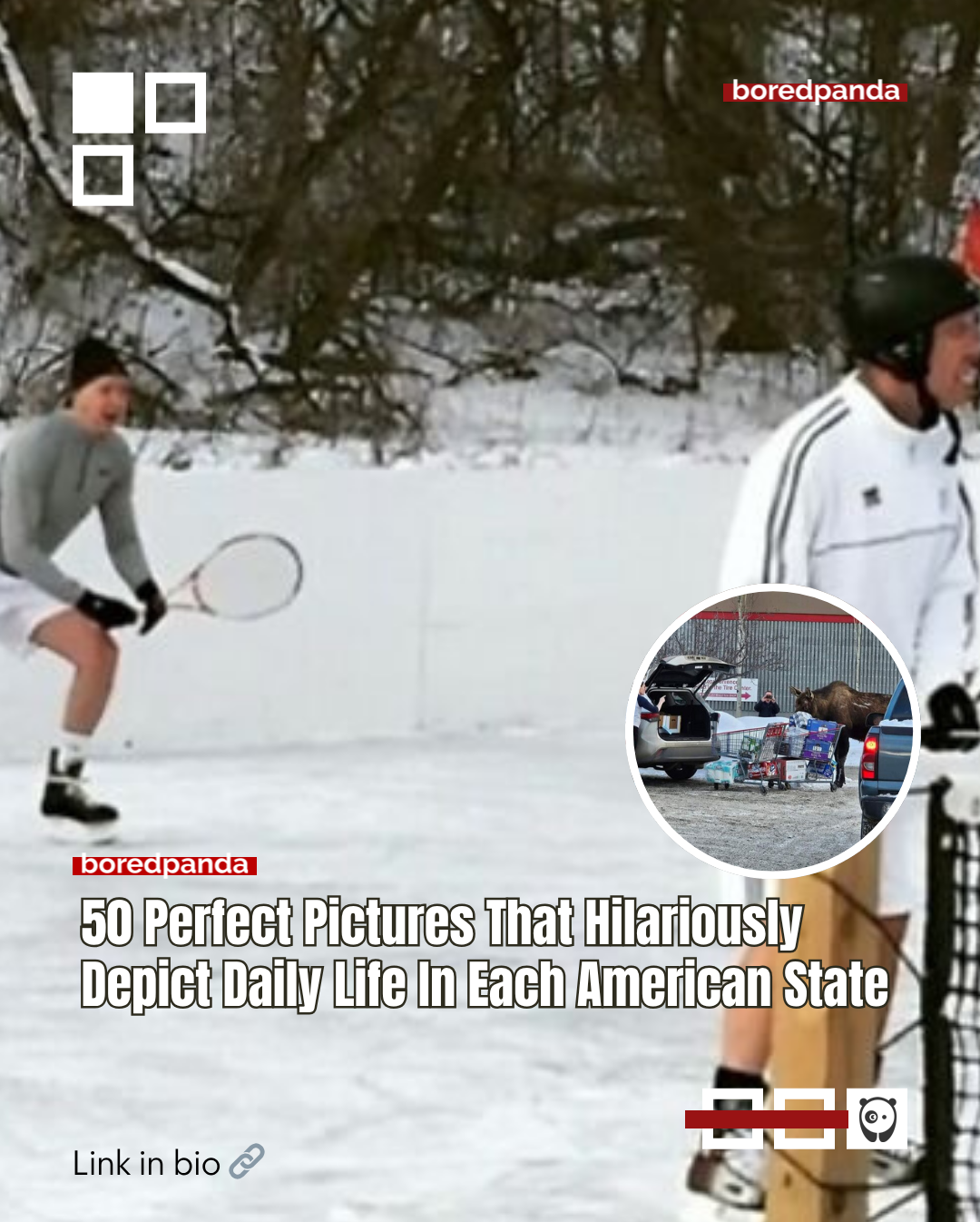 America is touted as the land of the free and the home of the brave... It's also one of the few places you'll see a Ferrari parked next to a tractor outside a school, or kids celebrating "Spring Break" in the snow. People have been sharing the funniest photos that perfectly depict each state in all its chaotic glory. An Amish man in Utah withdrawing cash from an ATM while his horse-drawn carriage waits patiently on the side, dogs squashed into backpacks in New York subways, where pets are banned unless they can fit in a bag, and a driver wearing oven gloves in Arizona at "that time of year."Read more at the link in our bio. 