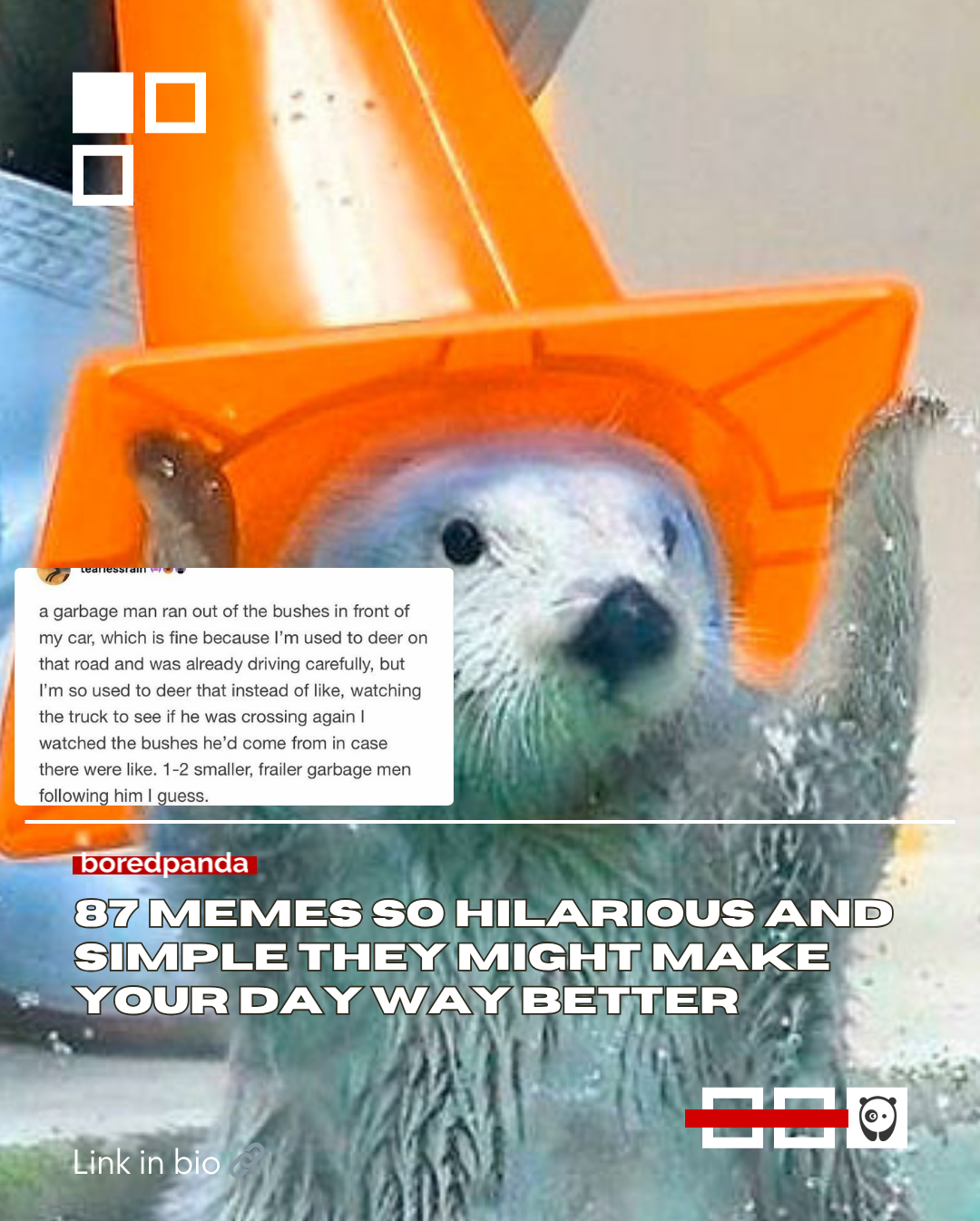 We’re currently living in tumultuous and divisive times. Social media timelines are mostly filled with bickering and the exchange of toxic political views on sensitive social issues. 
Fortunately, there is enough wholesome content to go around, especially on this site. You can also count on online communities like the Clean Memes subreddit for a much-needed timeline cleanse (pun very much intended).   Read more at the link in our bio.