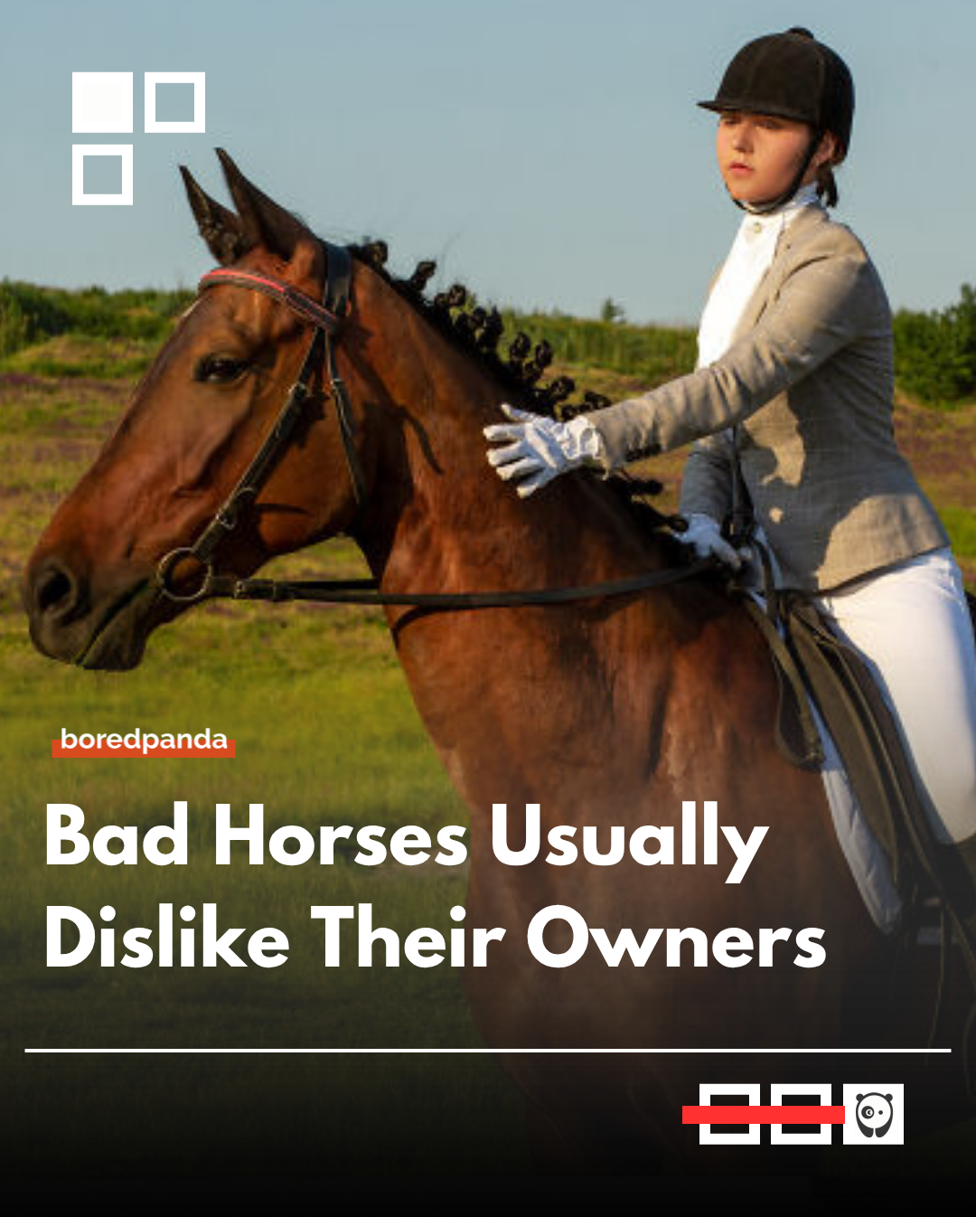 What looks like a "bad" horse is often just a cry for help or a reaction to pain. A difficult horse isn't being mean—they are likely stressed or hurting and don't know how to tell you.