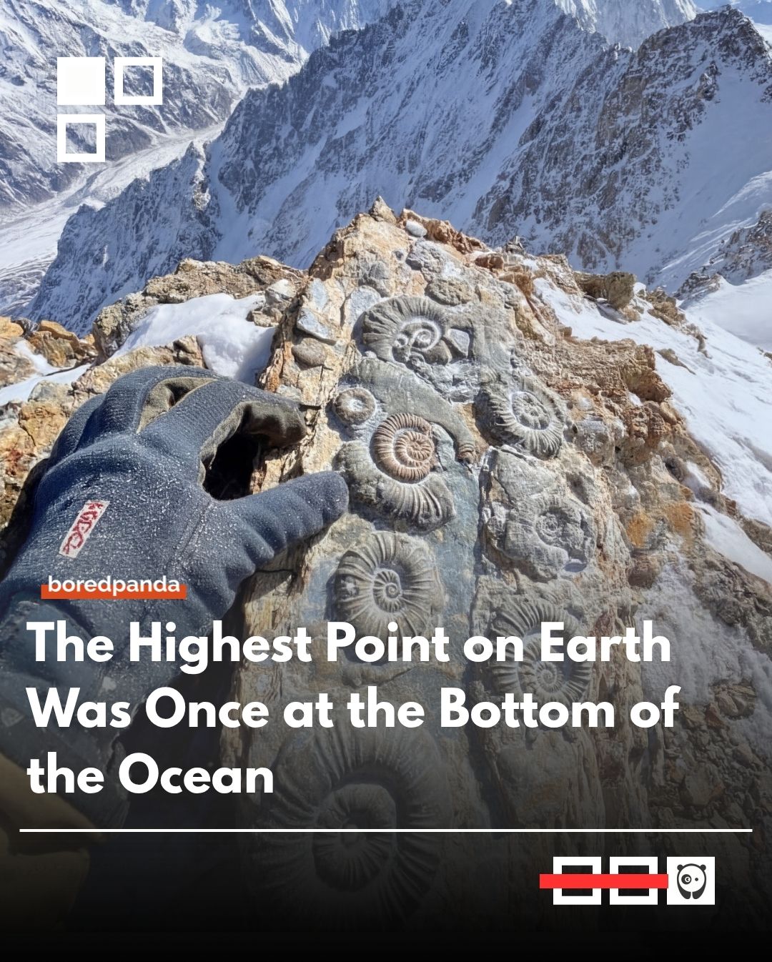 The rocks at the very top of Everest are known as the Qomolangma Formation. They contain fossils of ancient marine creatures like crinoids, brachiopods, and trilobites that lived in a shallow sea over 400 million years ago. 


#Funfacts #mounteverest #everest