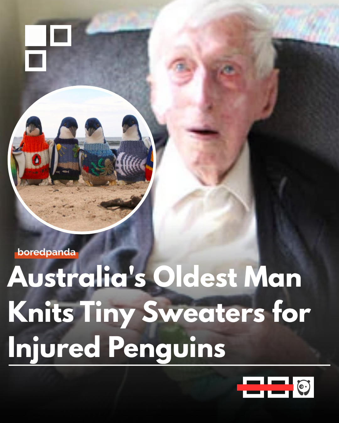 Alfred Date, who was once Australia’s oldest man, became widely known in 2015 for knitting tiny sweaters for injured penguins at the age of 109. Living in a retirement home in New South Wales, he responded to a request from the Phillip Island Penguin Foundation, creating wool sweaters designed to protect little penguins affected by oil spills from ingesting toxic substances while cleaning their feathers. 
#Animals #penguins #alfreddate