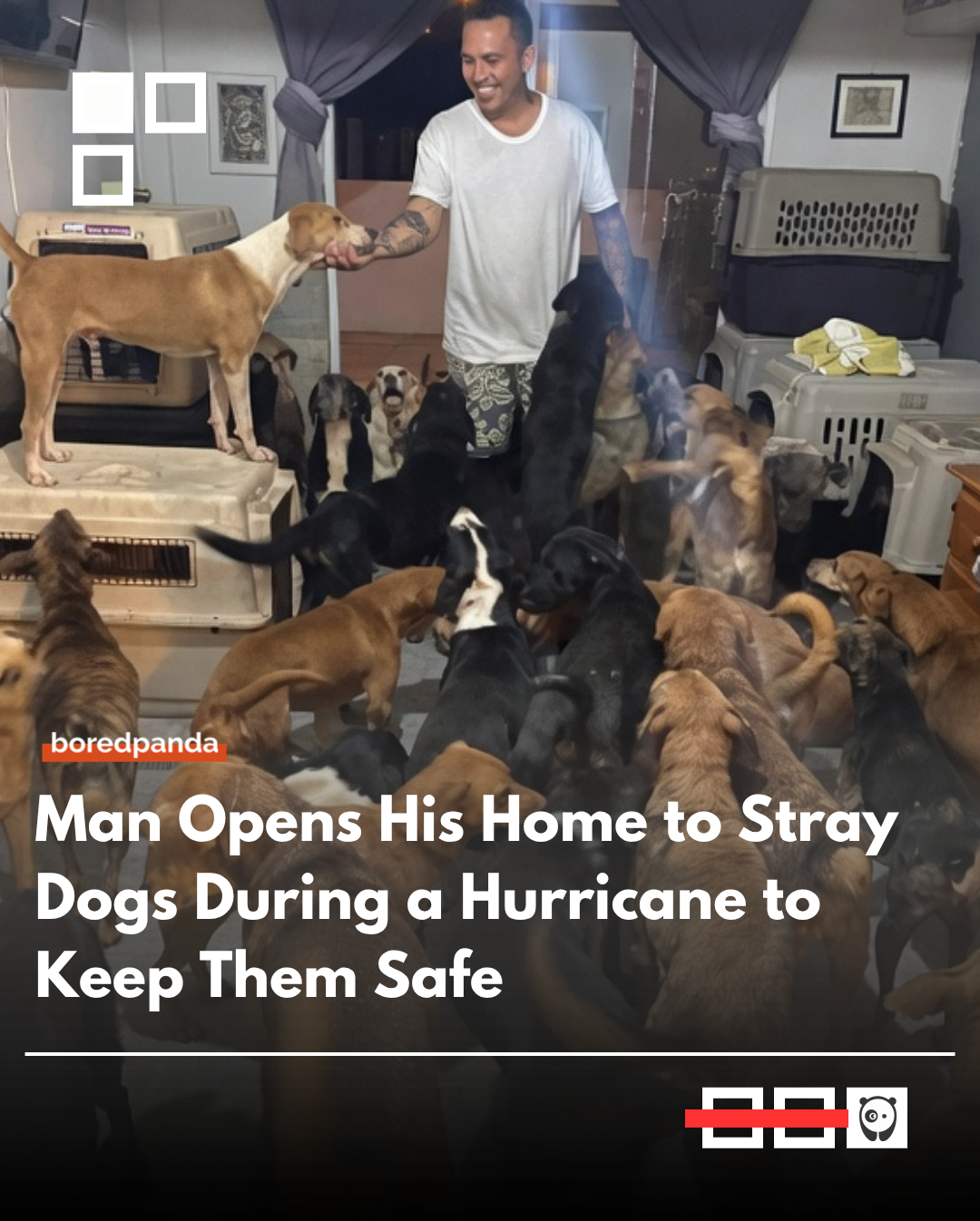 As a hurricane approached Cancún, a man named Ricardo gathered stray and shelter dogs from the streets and brought them into his home to protect them from the storm. His compassionate act earned praise online for giving vulnerable animals a safe place to sleep during dangerous weather.

#animals #wholesome #cancun 
