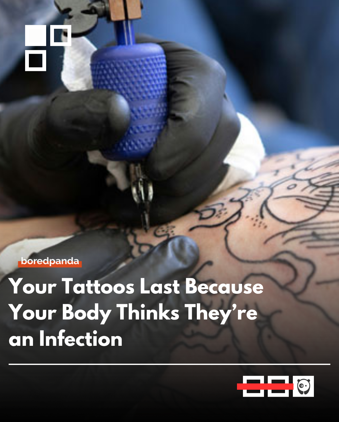 Tattoos work because your immune system treats ink particles like foreign invaders and tries to contain them in the skin. Over time, immune cells trap the ink in place within the dermis, which is why the design stays visible. Gradual breakdown, movement of particles, and sun exposure can cause tattoos to fade or blur as the body continues trying to process what it sees as “waste.” 
#Tattoos #Science #HumanBody #ImmuneSystem #SkinScience #Biology #TattooFacts