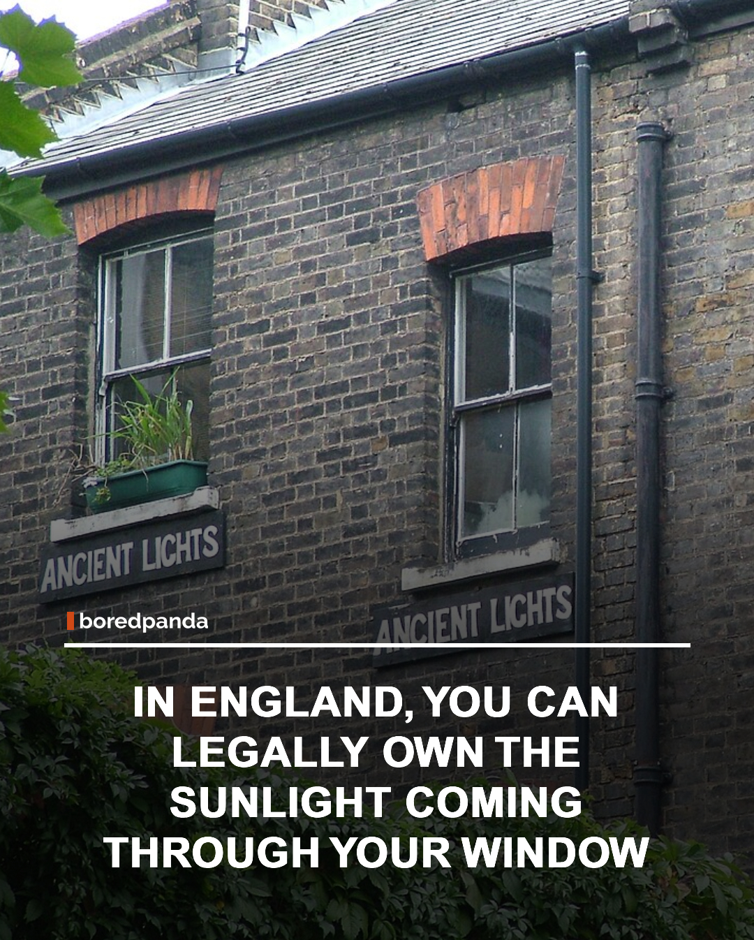 A Right to Light is a legal protection in English law that gives property owners the right to receive a reasonable amount of natural light through certain windows and openings. If a new building significantly reduces that light, affected neighbors may be entitled to compensation or even have the development altered or stopped altogether. ☀️🏠





#righttolight #englishlaw #naturallight #funfact