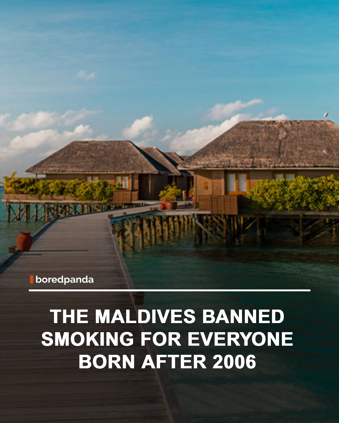 The Maldives has become the first country in the world to introduce a nationwide generational smoking ban. Anyone born on or after January 1, 2007, will never be legally allowed to buy or use tobacco products.

The country had already banned vapes and e-cigarettes for all ages, making it one of the strictest places in the world when it comes to tobacco control. 🚭🌴

#Maldives #SmokingBan #PublicHealth #HealthNews #DidYouKnow
