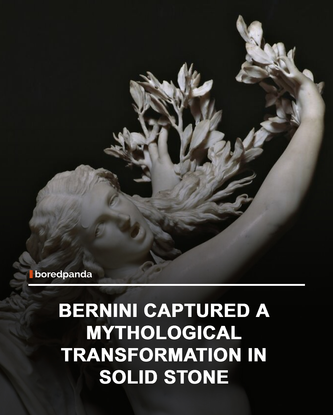 In Apollo and Daphne, sculptor Gian Lorenzo Bernini captures the dramatic moment from Greek mythology when Daphne transforms into a laurel tree to escape Apollo.

The most remarkable detail is found in her hands, where delicate fingers seamlessly become twisting branches and leaves. Carved from solid marble, the transformation appears so natural and fluid that it seems to unfold before the viewer's eyes. 🌿✨

#ArtHistory #Bernini #ApolloAndDaphne #Sculpture