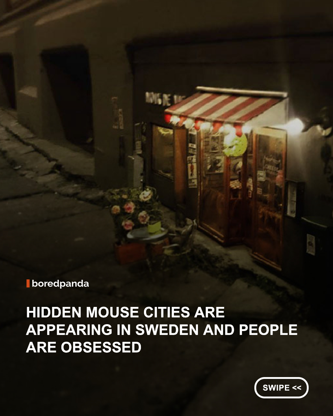 Anonymouse is a mysterious Swedish art collective that creates highly detailed miniature worlds designed for mice and hidden in public spaces. These tiny installations often appear in unexpected corners of streets, parks, and buildings, transforming ordinary environments into playful, secret scenes. Each setup is carefully crafted with furniture, signage, and storytelling elements that suggest a fully imagined mouse society living parallel to our own. The project blends humor, imagination, and craftsmanship, encouraging people to slow down, look closer, and discover small moments of wonder in everyday life. 



#didyouknow #anonymouse #sweden