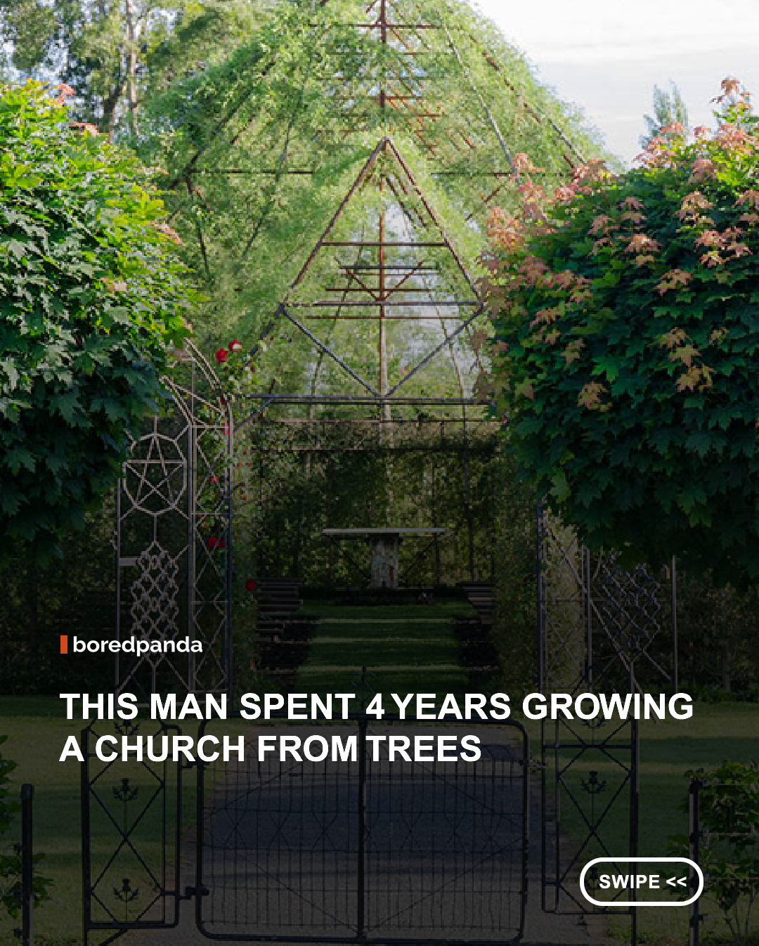 Inspired by churches he had seen around the world, New Zealand gardener Brian Cox decided to create one in his own backyard, using living trees instead of stone.

Thanks to his tree-relocating business, he carefully shaped and planted mature trees around a metal frame, transforming an empty space into a stunning living church in just four years. 🌿⛪

#Nature #Architecture #NewZealand #TreeChurch #GardenDesign #AmazingPlaces