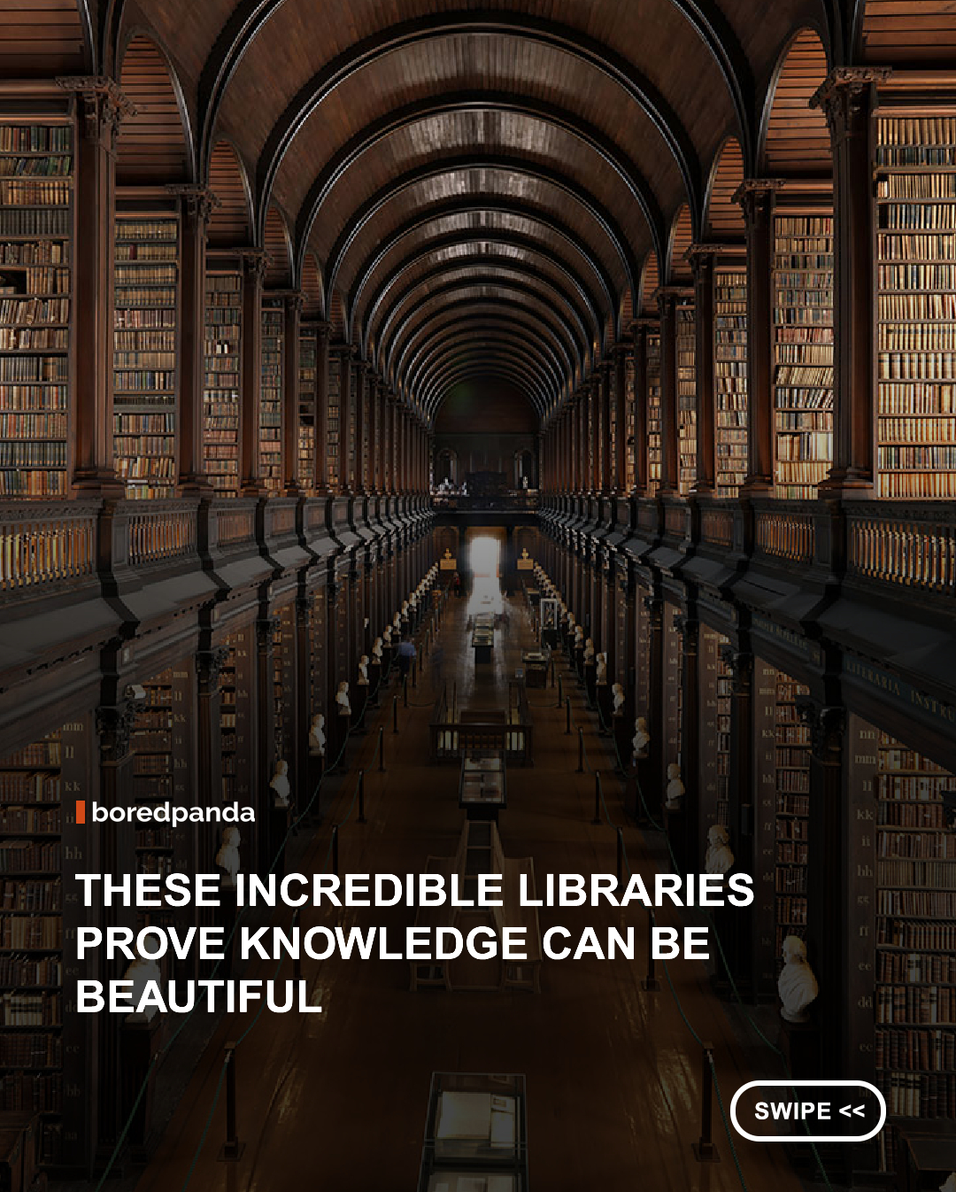 Around the world, libraries go far beyond storing books — they are architectural masterpieces that blend knowledge, history, and design. From ornate baroque halls filled with frescoes to futuristic spaces of glass, light, and endless shelves, each library reflects the culture and imagination of its time.



These extraordinary spaces turn reading into an experience, where architecture itself inspires curiosity and wonder. 📚 



#Libraries #books #reading #baroque