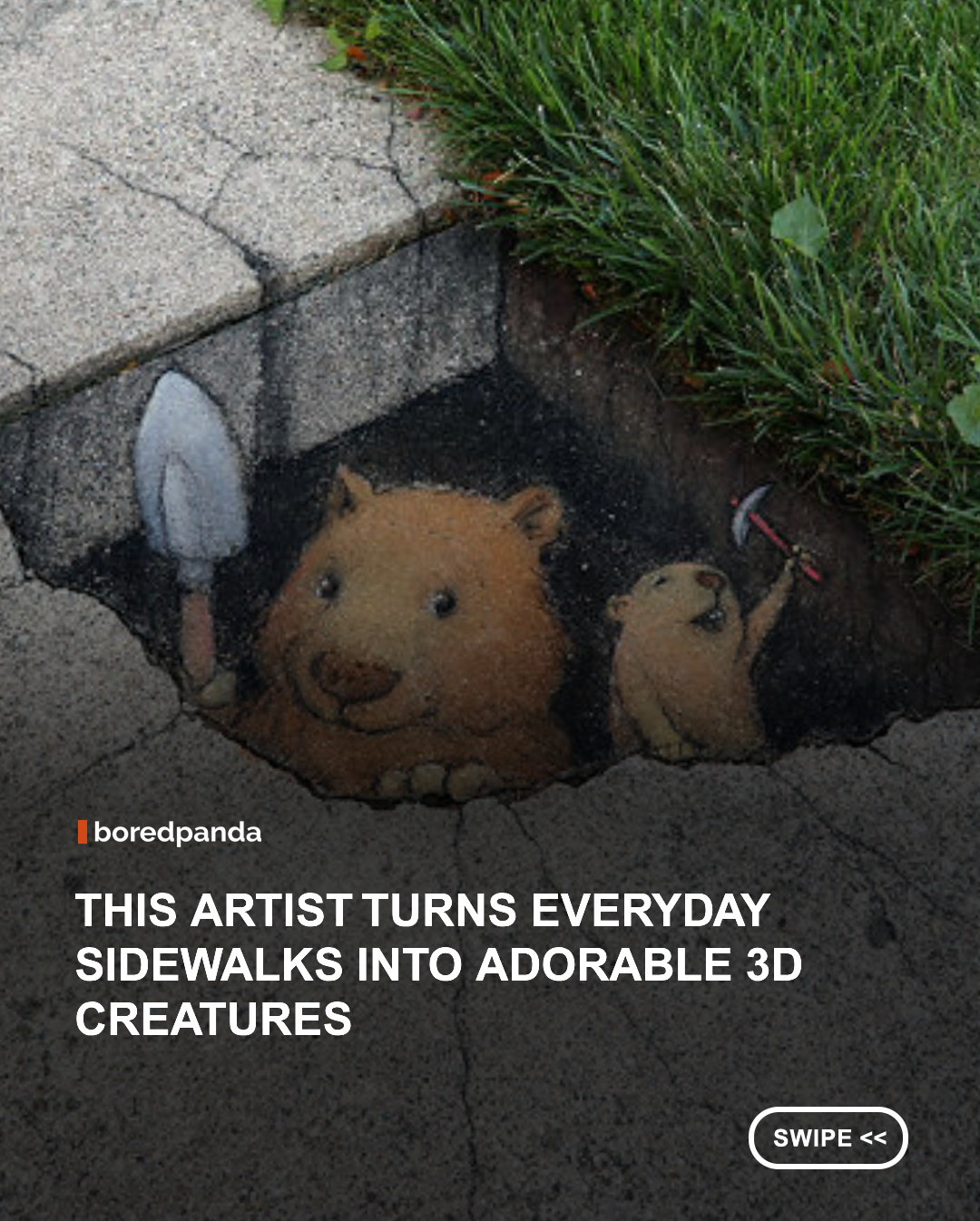 Sometimes the most magical art appears in the most unexpected places. That’s exactly what happens when street artist David Zinn transforms ordinary sidewalks into whimsical scenes filled with tiny creatures that seem to crawl right out of the pavement.

Based in Ann Arbor, Michigan, Zinn has been creating original artwork around the city since 1987. Over the years, he has become widely known for his playful chalk drawings that interact with the environment, turning cracks, bricks, pipes, and other imperfections in the pavement into imaginative parts of the artwork itself. #art #chalkart 