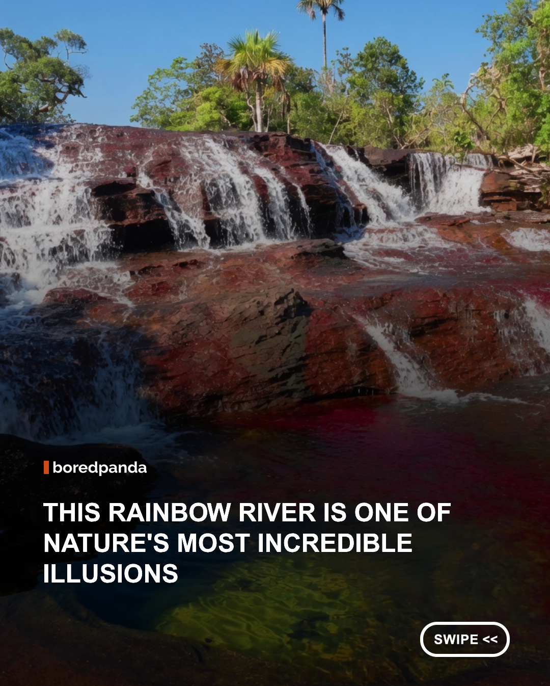 Often called the "River of Five Colors," Caño Cristales is one of the most extraordinary natural wonders in Colombia. During certain months of the year, aquatic plants beneath the clear water create vibrant shades of red, yellow, green, blue, and black, transforming the river into a living rainbow. 🌈🌿



Located within the remote wilderness of Serranía de la Macarena, this unique phenomenon occurs when sunlight, water levels, and plant growth align perfectly. The result is a breathtaking display that has earned Caño Cristales a reputation as one of the most beautiful rivers on Earth. ✨ 



#colombia #canocristales #riveroffivecolors