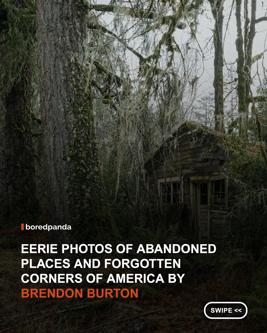 There’s something alluring about places that seem frozen in time. Empty houses and forgotten roads that whisper stories of the people who once passed through them. Photographer Brendon Burton has spent years documenting these overlooked corners of America, capturing images that feel both haunting and fascinating. 



#brendonburton #photography #abandonedplaces

