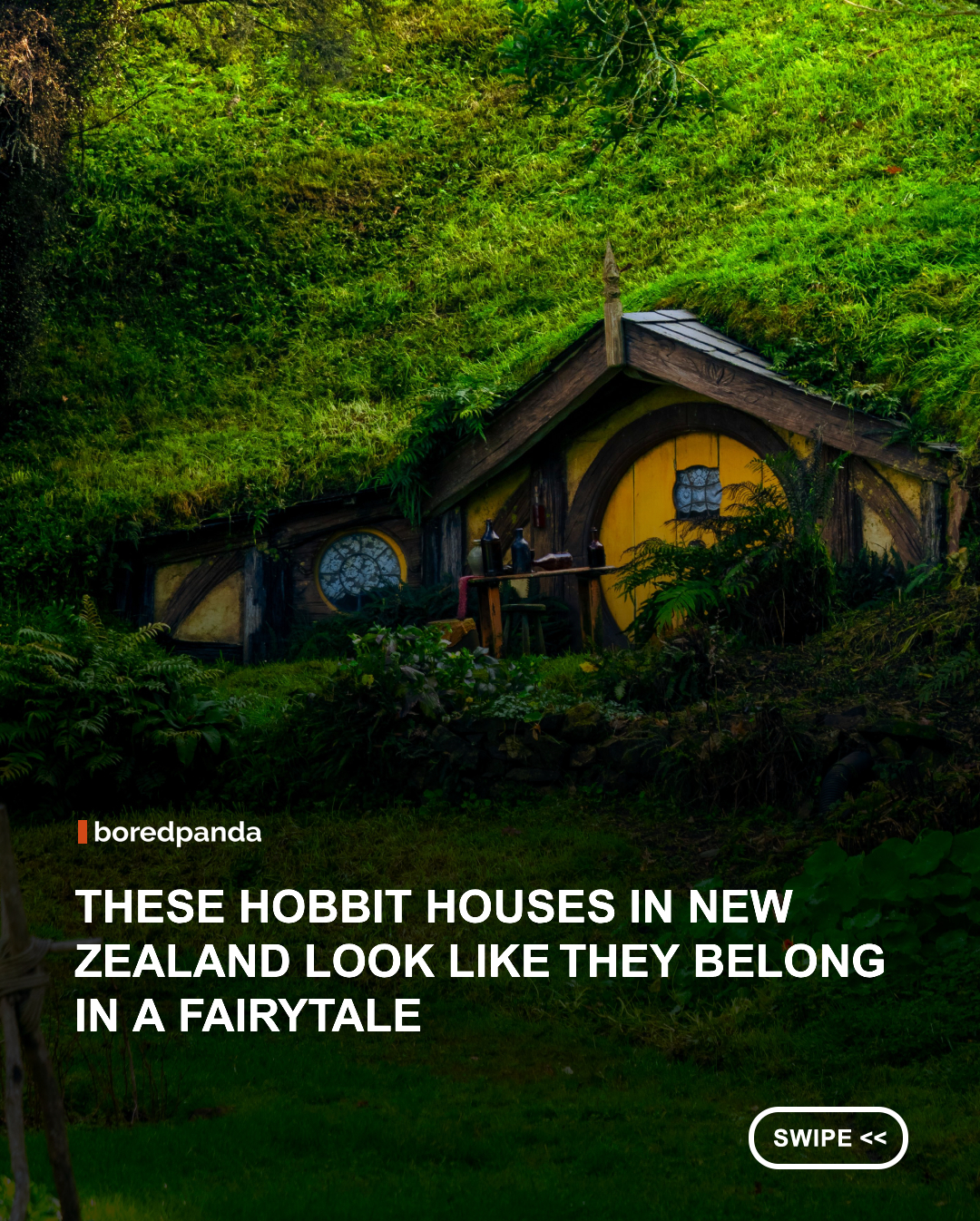 Hobbiton in New Zealand is one of the world’s most magical movie locations, bringing the world of Middle-earth to life with its charming Hobbit houses, rolling green hills, and storybook details. Originally built as a set for The Lord of the Rings and The Hobbit films, the village was designed to feel like a real, lived-in place, complete with round doors, tiny gardens, and winding paths.



Today, Hobbiton remains one of New Zealand’s most beloved attractions, drawing visitors from around the world who want to step inside the fantasy world of hobbits and experience the beauty of the Shire in real life. 🍃🏡



#Hobbiton #Newzealand #greenhills
