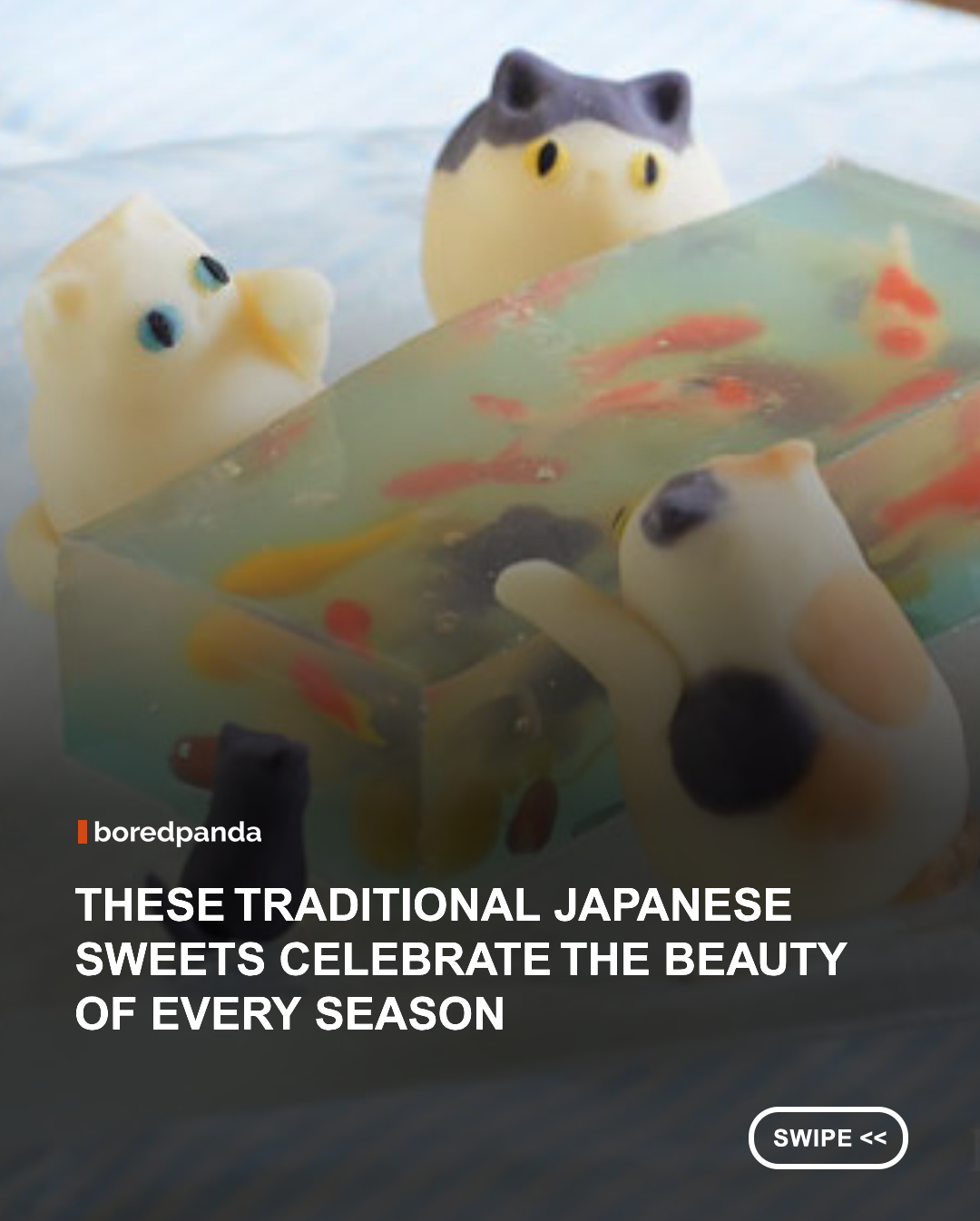Japan has a remarkable talent for turning everyday treats into tiny works of art. From adorable animals and blooming flowers to intricate seasonal designs, these handcrafted sweets are so charming they almost seem too beautiful to eat. Take a look at some of the cutest Japanese confections that perfectly blend creativity, tradition, and irresistible sweetness. 🍡🌸🍵 



#food #japanesefood #japan 