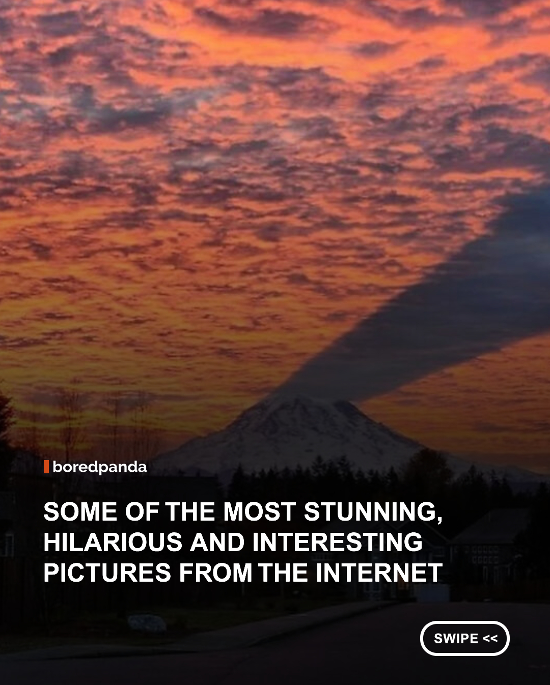 If you follow the same routine every single day, you might feel like your life is a bit boring. But thankfully, there are countless ways to spice things up. And today, you might just be in need of a list full of random and bizarre photos.

#photos #funny #pictures
