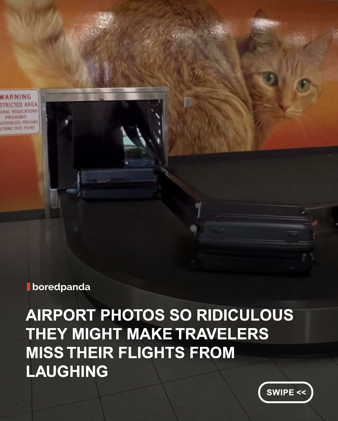 Airports have a way of turning even the most organized people into complete chaos. Between early-morning flights, long security lines, delayed departures, and endless waiting, it's no surprise that strange and hilarious moments happen every day. From questionable packing choices to unexpected encounters, these photos capture the wonderfully weird side of air travel that every frequent flyer will recognize. ✈️🤣



#funny #airports 