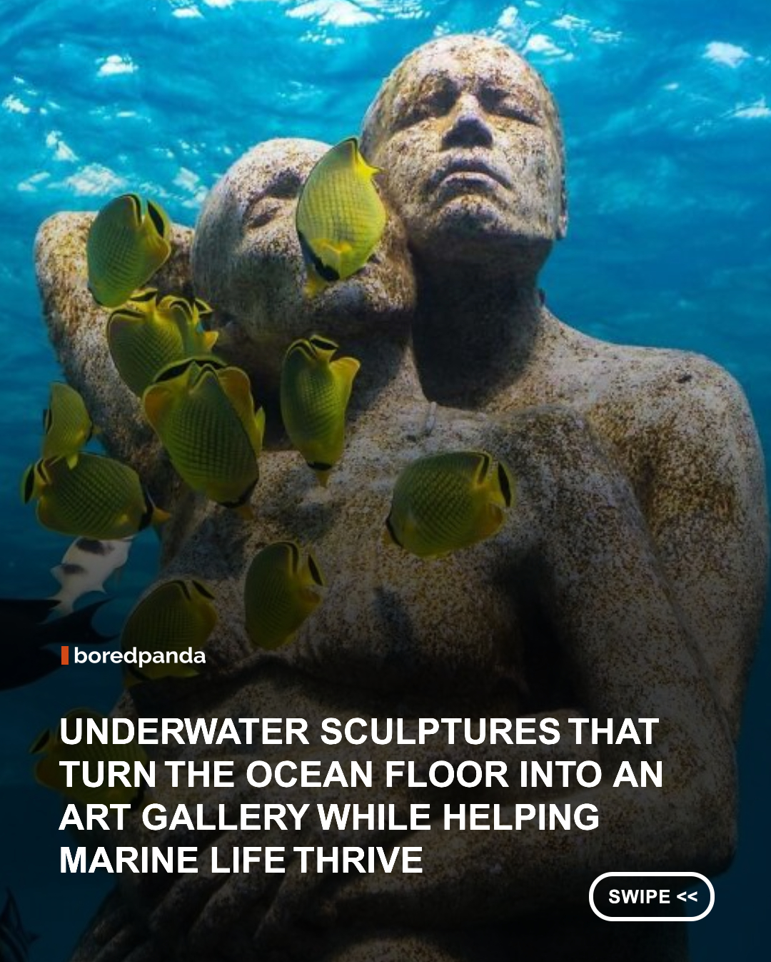 Jason deCaires Taylor is the British artist behind the world’s first underwater sculpture park, a groundbreaking project that helped expand ideas of how public art can exist within natural environments. Over the past two decades, he has created more than 1,200 public sculptures across land, tidal zones, and fully submerged locations around the world, drawing thousands of visitors each week. #JasonDecairestaylor #underwatersculpture #sculpture #art