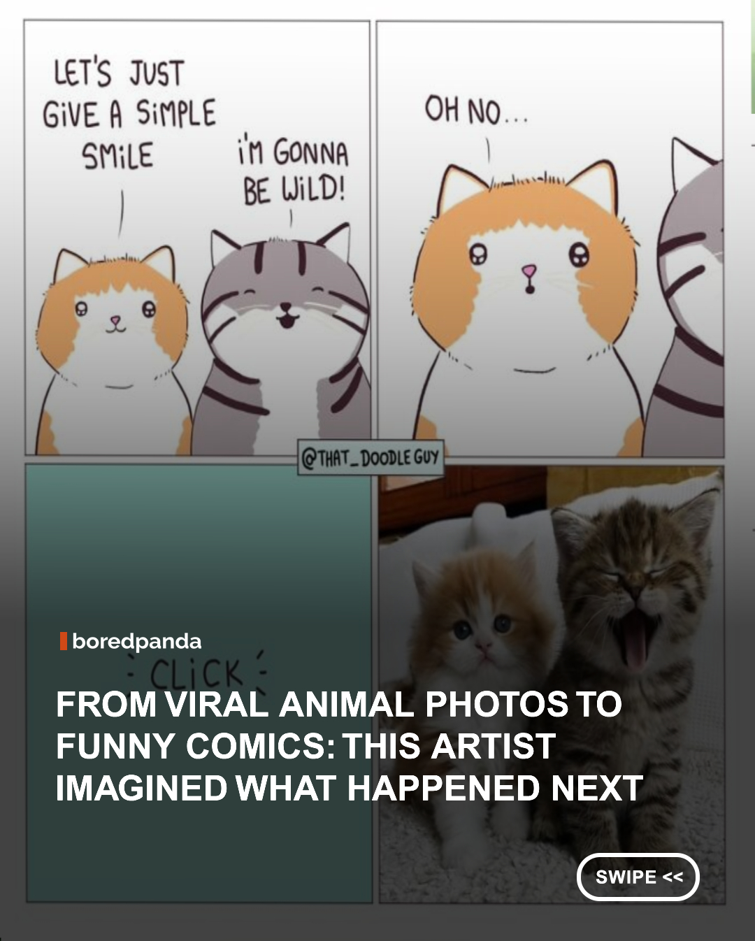 Some animal photos are so iconic that it feels like everyone has seen them at least once. But have you ever wondered what the story behind those viral moments might be?

That's exactly what illustrator That Doodle Guy explores in his imaginative comic series. Inspired by beloved internet-famous animals, he creates playful backstories and alternate scenarios that give these already hilarious moments a whole new life.  #doodles #animals #comics #thatdoodleguy