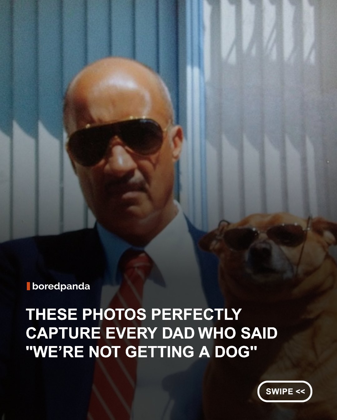 Every family seems to have one person who insists, "We're not getting a dog." More often than not, it's Dad. But somehow, those same dads end up sharing the couch, sneaking treats, taking naps together, and treating the dog like their favorite child. These wholesome photos capture the hilarious transformation from reluctant pet owner to devoted best friend, proving that sometimes the loudest "no" turns into the biggest "aww." 🐶❤️ #animals #dogs