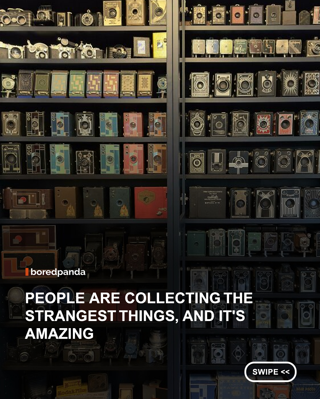 Everyone collects something, but some people take the hobby to a whole new level. From quirky everyday objects to incredibly rare finds, these unique collections showcase years of passion, patience, and dedication. Whether you're a collector yourself or simply love seeing unusual treasures, these fascinating displays prove that almost anything can become extraordinary in the right hands. 🧩✨ 





#collections #collectors #hobbies