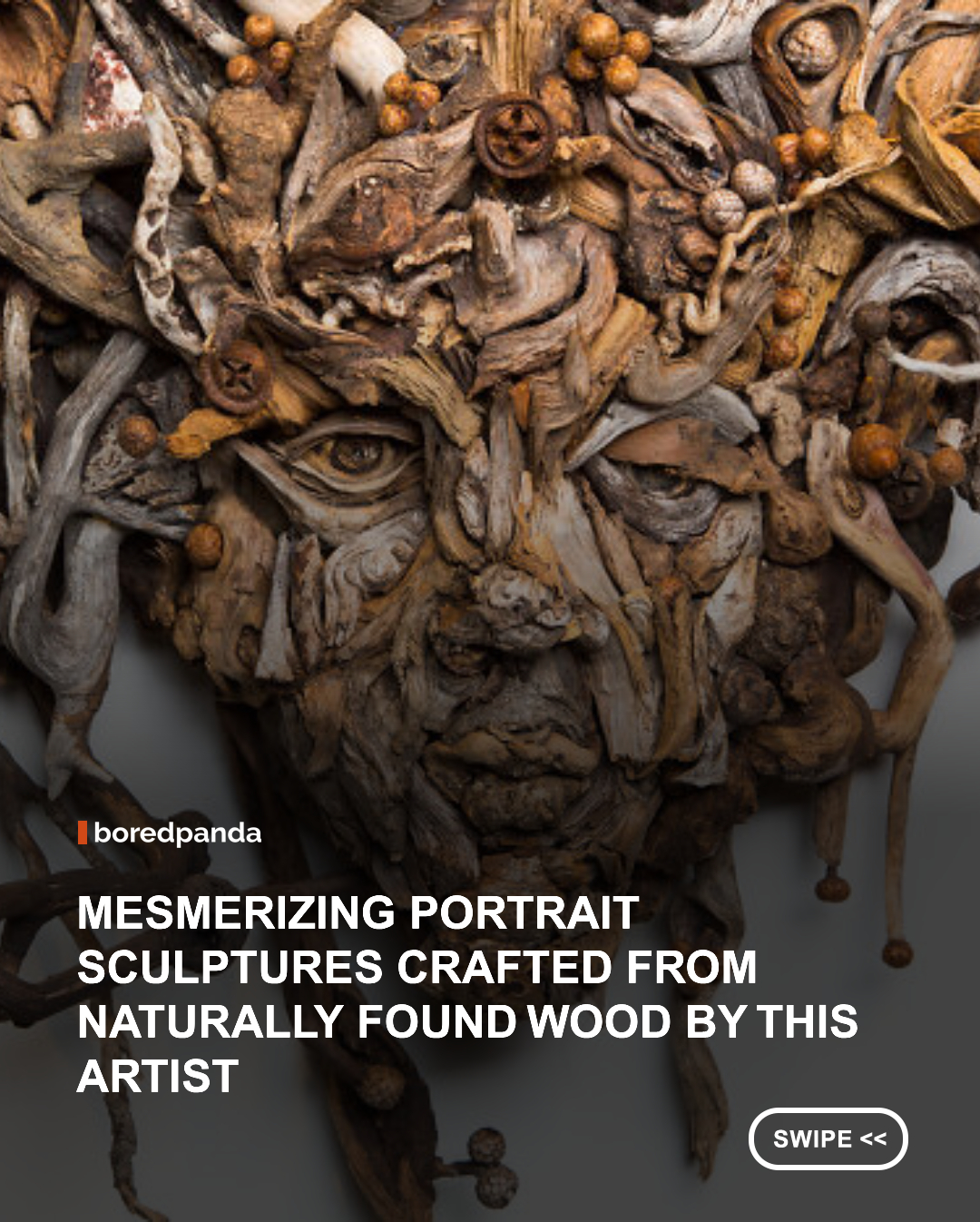 Most artists begin with a blank canvas. Bennett Ewing, better known as Eyevan Tumbleweed, begins with miles of coastline, forest trails, and an instinct for seeing what most people walk past. For more than two decades, the California-based sculptor has collected driftwood and naturally weathered branches, transforming them into striking portraits that appear to emerge from the wood itself.