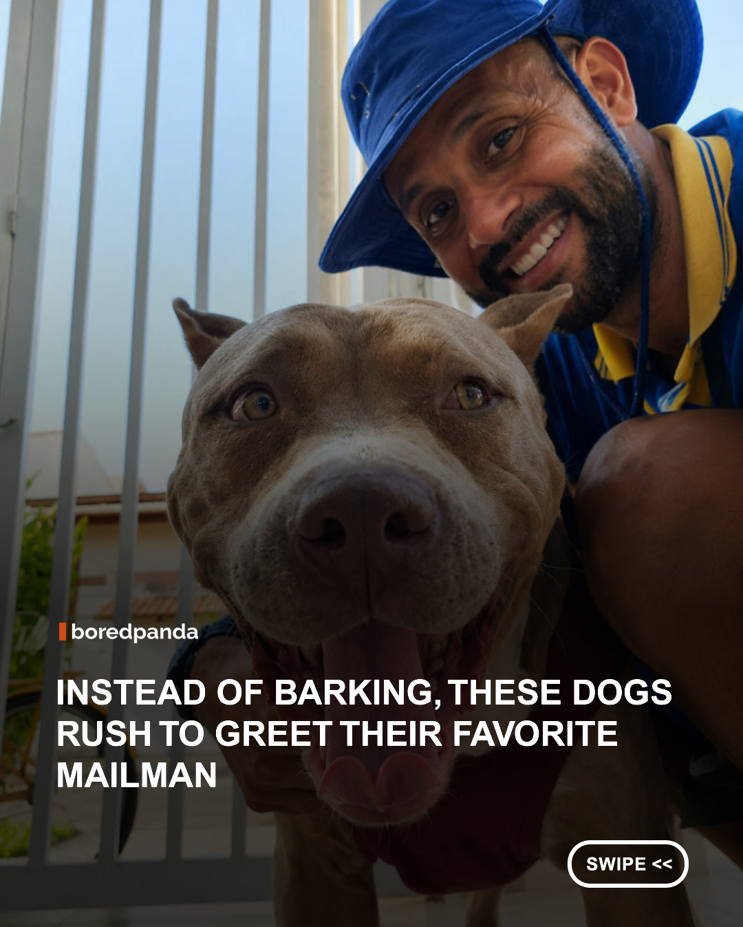 Most dogs greet the mail carrier with barking, but one Brazilian postman gets a very different welcome.

Known online as the "Animal-Friendly Postman," Angelo Cristiano da Silva Antunes has spent years building heartwarming friendships with the dogs along his delivery route in Guaratinguetá, São Paulo. Today, many of them eagerly wait for him with wagging tails, proving that not every mail carrier is a dog's worst enemy.
