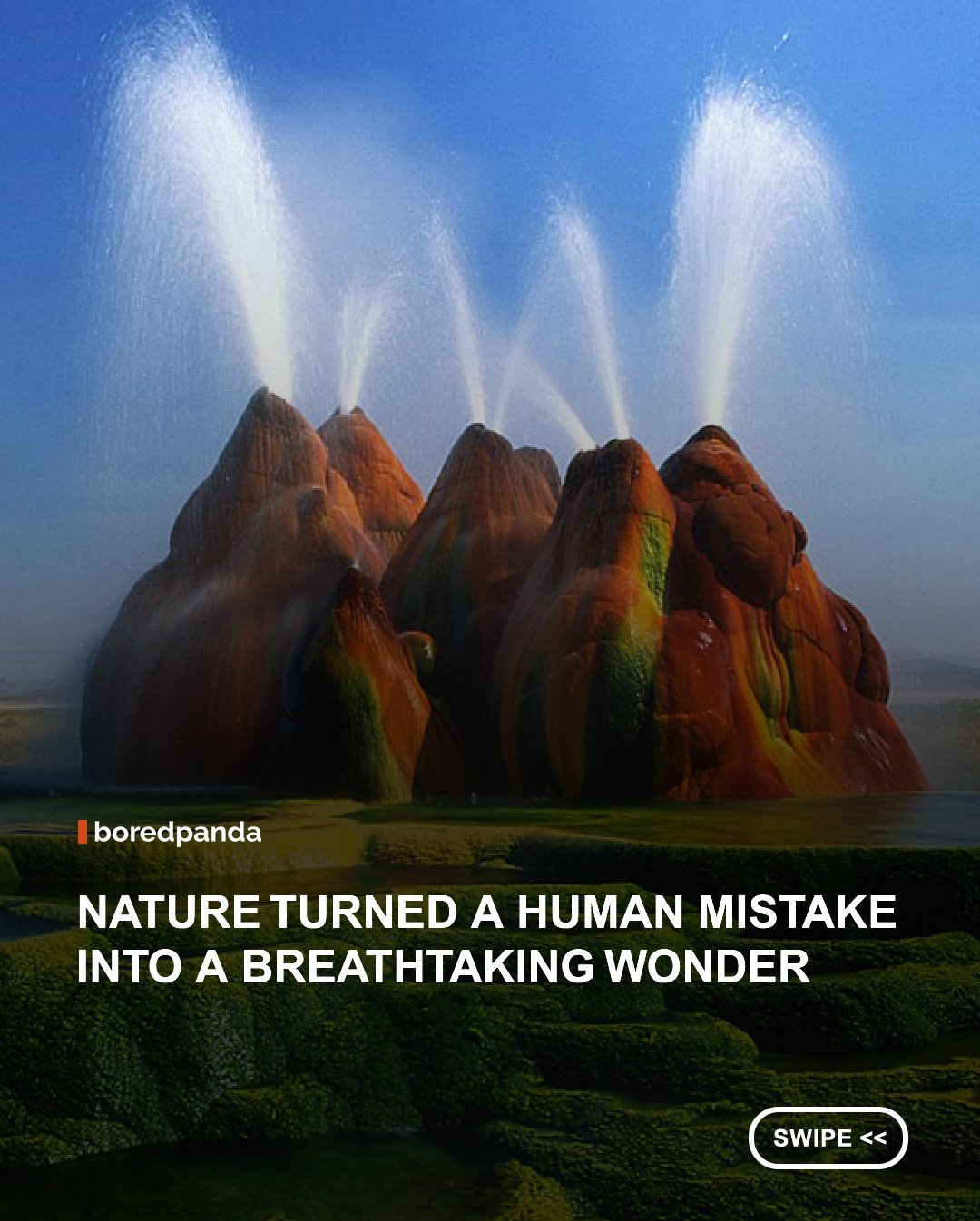 At first glance, Fly Geyser looks like something straight out of a sci-fi movie, but its story is just as fascinating as its appearance. 🌈🌋



Created by accident after a geothermal well was drilled decades ago, this colorful landmark has been slowly growing ever since. Rich in minerals and covered in vibrant, heat-loving algae, Fly Geyser has become one of Nevada's most surreal hidden gems, proving that even mistakes can turn into something extraordinary. 



#nature #facts #naturefacts #nevada