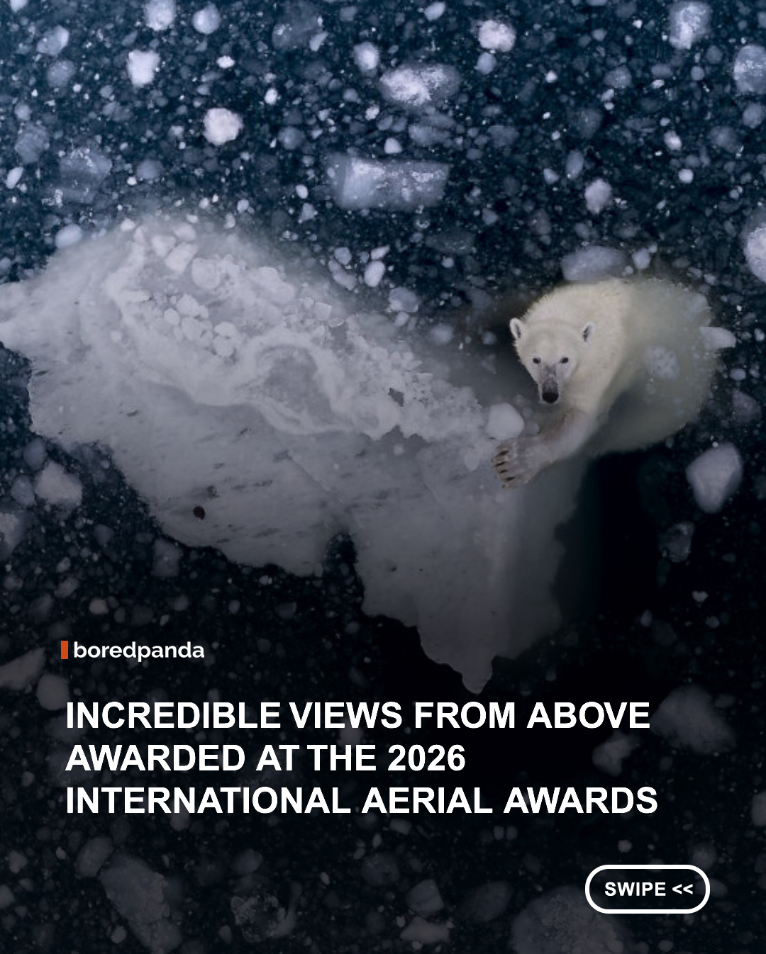 The winners of the International Aerial Photographer of the Year 2026 competition offer a stunning perspective of our planet from above. Capturing dramatic landscapes, vibrant cities, and incredible natural patterns, these award-winning images reveal the beauty of Earth in ways rarely seen from the ground. 🌎📸