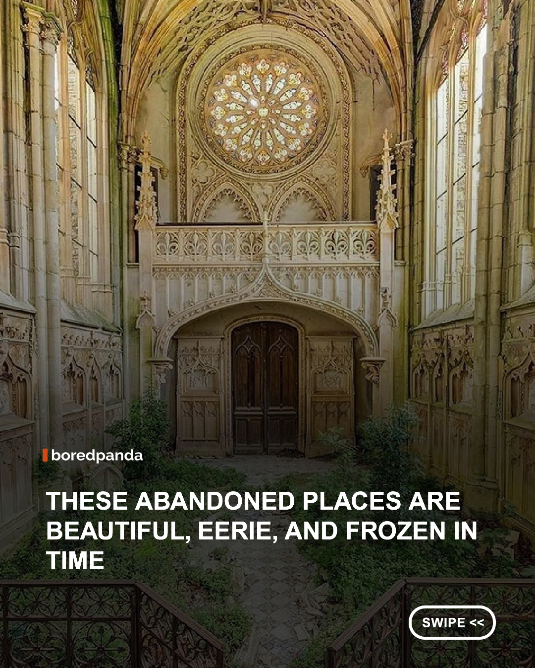 Nature has a remarkable way of reclaiming what humans leave behind. From forgotten mansions and crumbling castles to abandoned theaters and factories, these hauntingly beautiful places offer a glimpse into the past, where time seems to have stood still and every empty room tells a story.