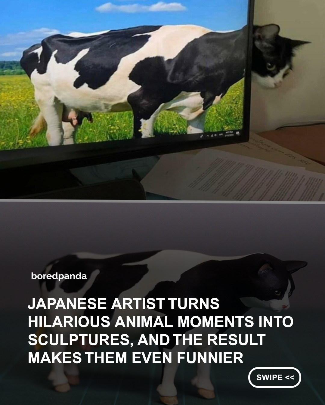 If you’re into funny animal pics and memes, the chances are you’ve heard of the widely popular Japanese artist and sculpting enthusiast named Meetissai. If you haven’t, it’s your lucky day.

Essentially, Meetissai browses through internet-famous cattos, doggos, and the rest of the bunch, and selects the most awkward and funny images. He then recreates them in real life by making sculptures that are as strange as it could possibly get.