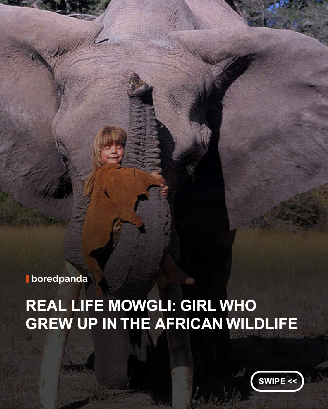 Before social media made extraordinary childhoods go viral, Tippi Degre was living one. Raised in the African wilderness by her wildlife photographer parents, Tippi formed remarkable bonds with elephants, lions, cheetahs, and other wild animals. Her incredible story has often been compared to a real-life Mowgli, inspiring people around the world for decades.