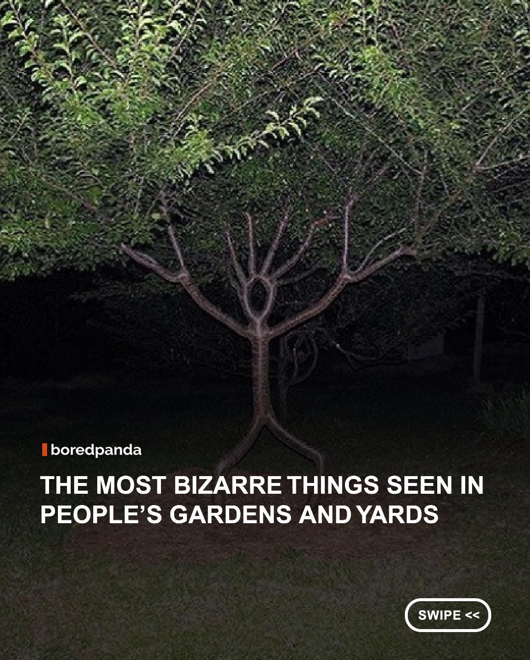 A person’s garden, lawn, and yard are their pride and joy. No matter how horrendously bizarre, ugly, eccentric, and eldritch it might look! There’s a certain beauty in ugliness and we shouldn’t be shy about sharing it with the world.  #gardens #yards #funny #gardensfails