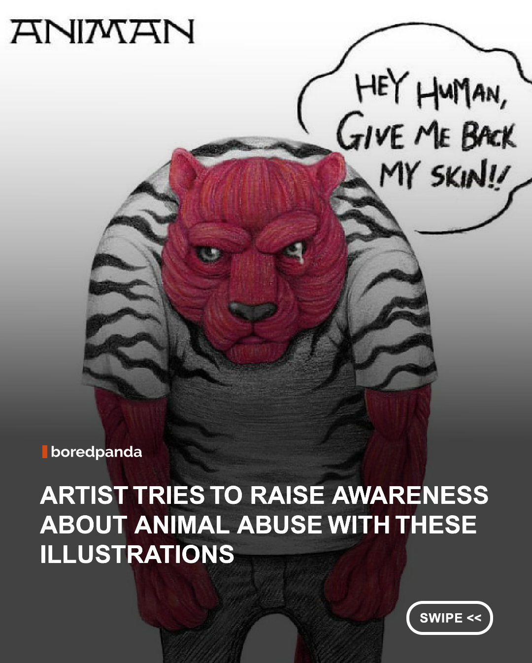 This artist by the name of milkdongcomics on Instagram creates illustrations. However, those illustrations are not simply art. They have a heavy message behind them—animal abuse. Many of us don't even think about all the ways animals are being mistreated by humanity. So this artist created a project called "Murder Scene" to shock us back to reality.