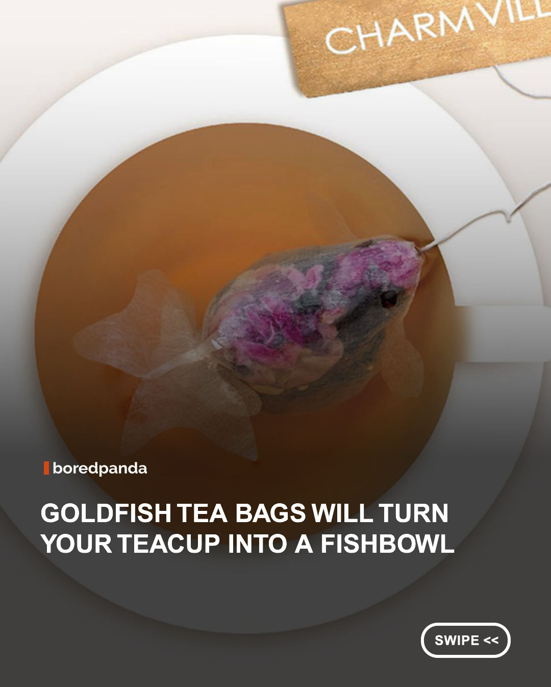 Tea time just got a whole lot more magical.

Designed by Taiwanese brand Charm Villa, these handcrafted goldfish-shaped tea bags transform an ordinary cup into what looks like a tiny aquarium. As the tea steeps, the fish gradually comes to life, creating a delightful illusion that's equal parts art and design. Available in flavors like oolong and rose tea, they're proof that even the smallest details can turn an everyday ritual into something