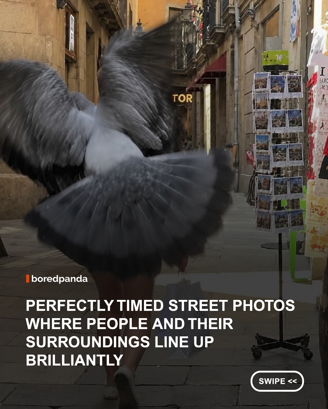 The streets are full of visual coincidences, but spotting them before they disappear takes patience, observation, and impeccable timing. A pedestrian may briefly blend into an advertisement, a passing animal might complete a scene, or an ordinary wall could suddenly become part of an unexpected joke. Barcelona-based photographer Frank J. Llamas keeps his camera ready for precisely these fleeting moments.