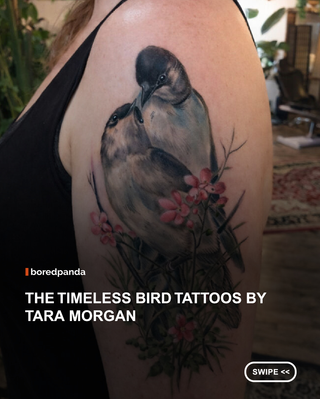 In the rural farming community of Groton, New York, tattoo artist Tara Morgan has built a reputation that stretches far beyond state lines. Known for her deeply expressive bird tattoos, Morgan’s work feels less like body art and more like a living, breathing natural history illustration brought to life.

