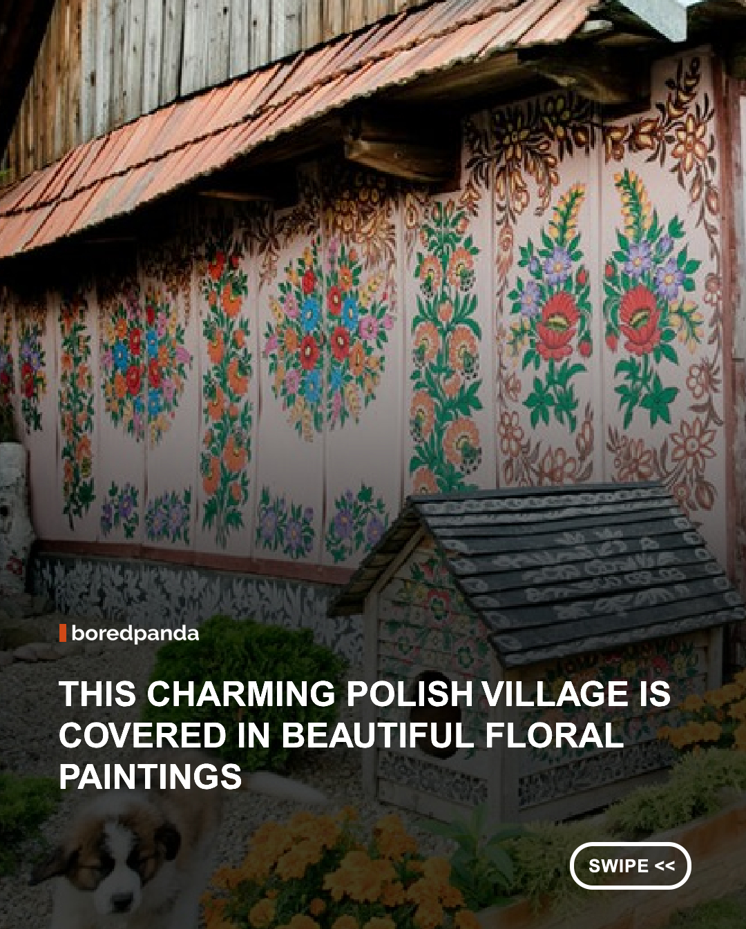 Once upon a time, in a small Polish village called Zalipie, somebody painted a flower on their ceiling in order to cover up a soot mark caused by the stove. Ventilation was poor back then, and soot stains were a common sight in most if not all of the houses, and so other people started concealing the marks with their own little flowers until every house was covered in them. #Zalipie #poland #floral