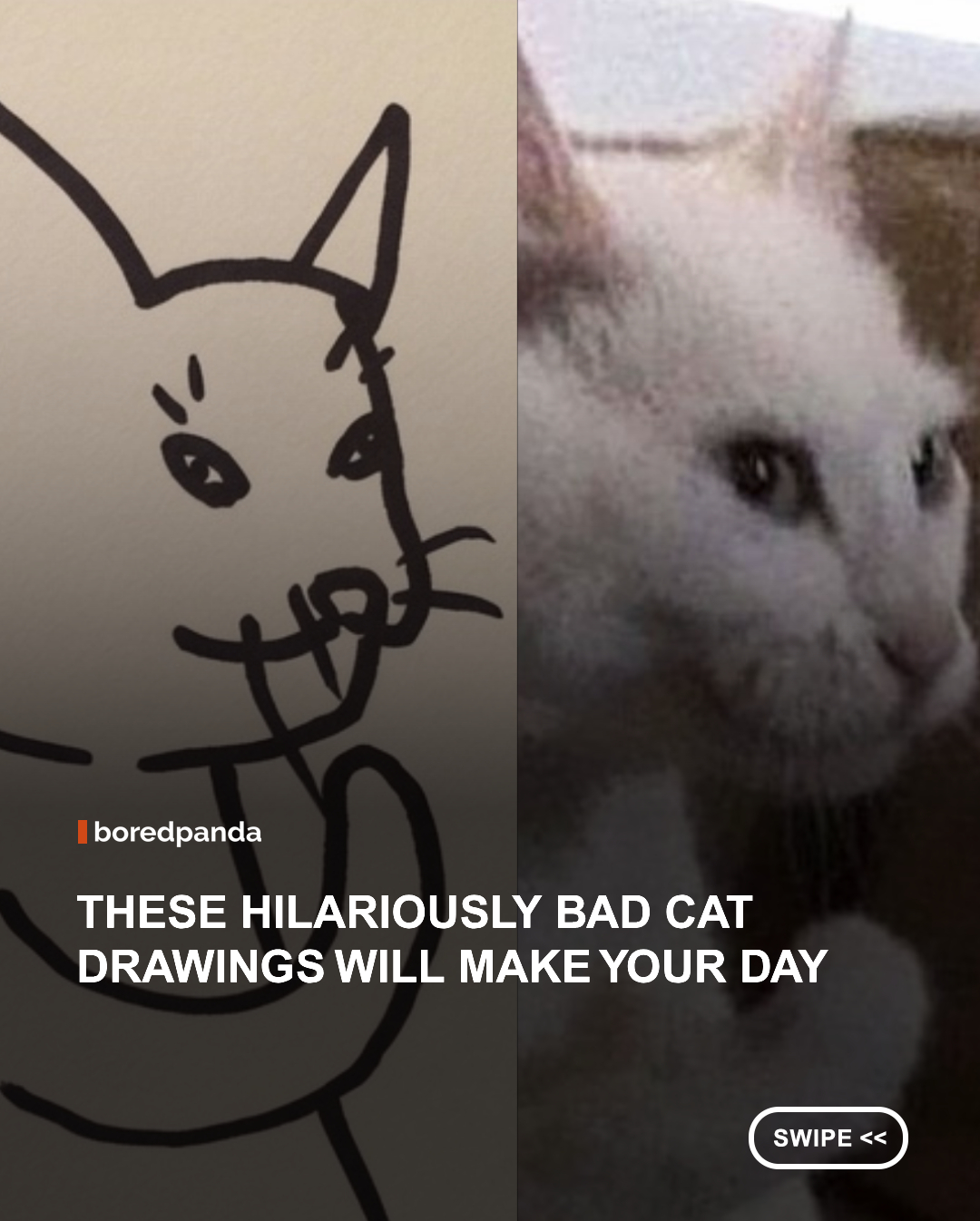 Not every masterpiece belongs in a museum. Sometimes, the funniest works of art are the ones that completely ignore anatomy, perspective, and common sense. These hilariously poorly drawn cats may look wonky, lopsided, and delightfully chaotic, but that's exactly what makes them so lovable. Whether sketched in seconds or created with complete confidence, each doodle captures the wonderfully unpredictable energy that only cats can inspire. Sometimes, less talent really does mean more laughs. ✏️🐱 #funny #cats #funnycatsdrawings