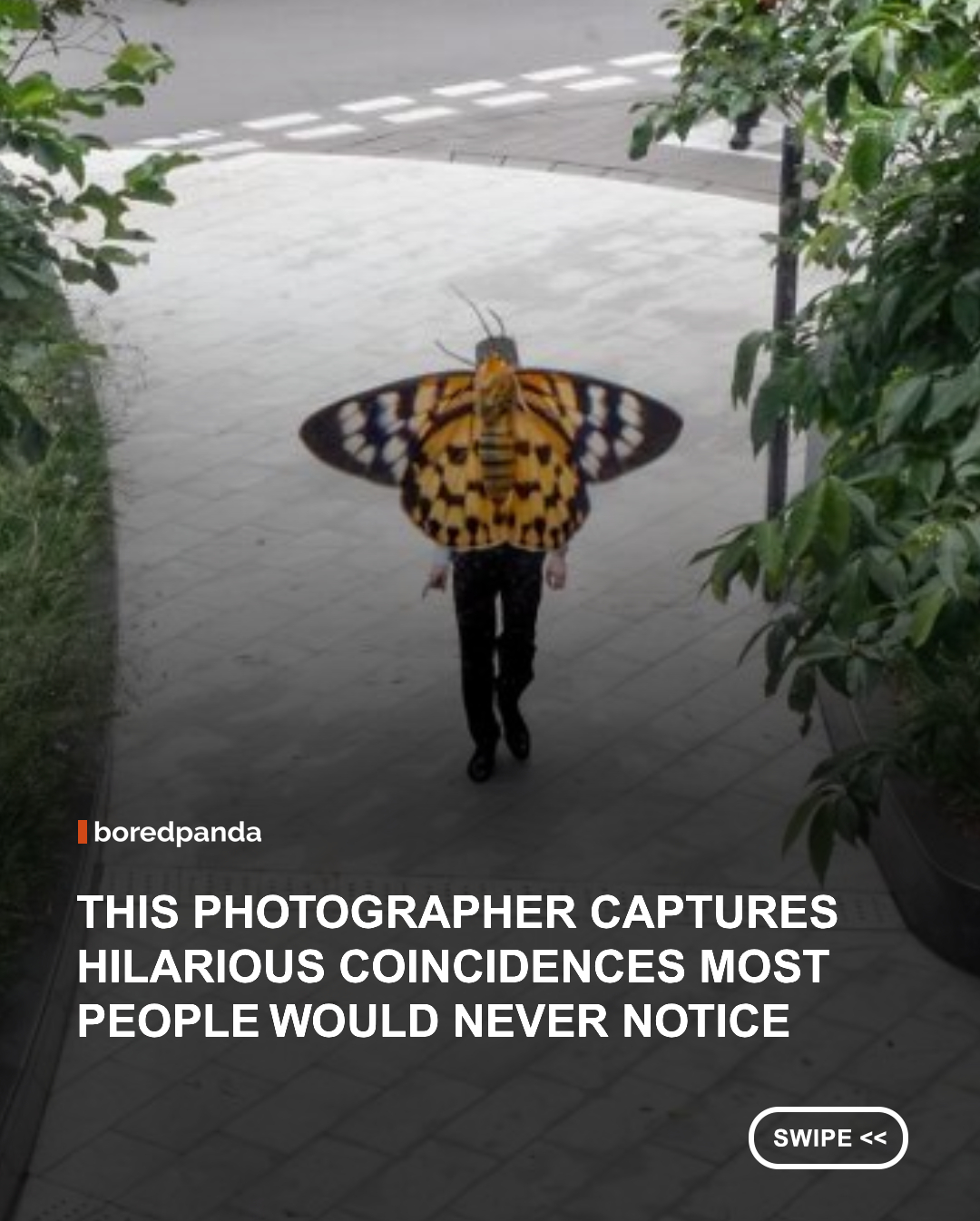 Street photography has a unique way of reminding us that the world is full of tiny surprises, if we pay close enough attention. Few photographers have mastered this art quite like Edas Wong, whose images transform everyday city life into visual puzzles filled with humor, creativity, and impeccable timing. #photography #art