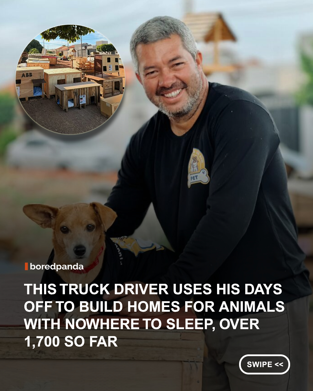 Brazilian truck driver Alexandre Camilo turned his love for animals into Semeadores do Bem Pets, a shelter dedicated to rescuing abandoned and neglected dogs and cats. What began as a personal mission has grown into a safe haven where countless animals receive food, medical care, and a second chance at finding loving homes. His story is a powerful reminder that one person's compassion can change countless lives. ❤️ #Brazil #AlexandreCamilo