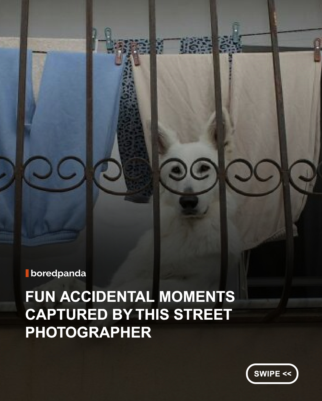 Sweden-based photographer Dimitris Makrygiannakis has developed a distinctive eye for those fleeting moments. While street photography remains at the heart of his work, his images also explore architecture, animals, reflections, and everyday urban life, uncovering surprising visual connections and subtle humor in familiar surroundings.