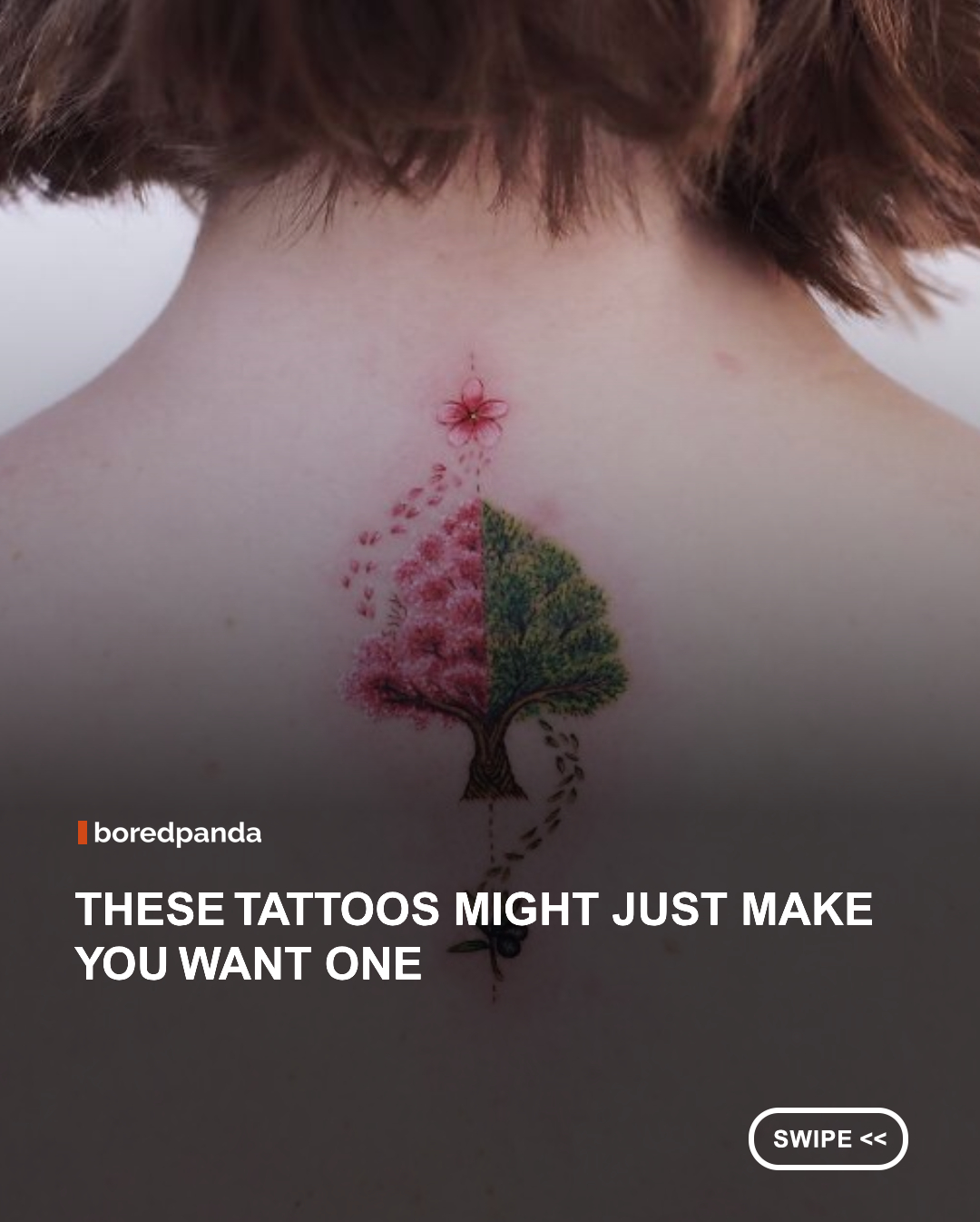 Tattoos are more than just ink; they’re personal stories, bold choices, and pieces of art that people carry with them every day. Our community of tattoo lovers and artists has shared some truly incredible designs, and this post is all about the ones that stood out the most.
#Tattoos #tattooart #Tattoo
