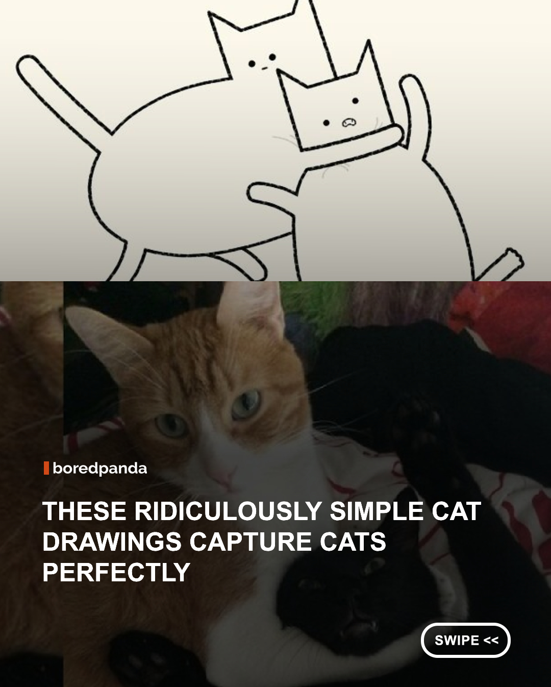 If you’ve ever thought cats were made of liquid or just love their weird little poses, then you’re going to love DailyPurrr. This Instagram account is all about silly, super simple cat doodles that capture the funniest, quirkiest moments of our favorite furry creatures. Whether they’re squished in boxes, falling off sofas, or just giving that classic judgmental stare, these drawings somehow say it all.