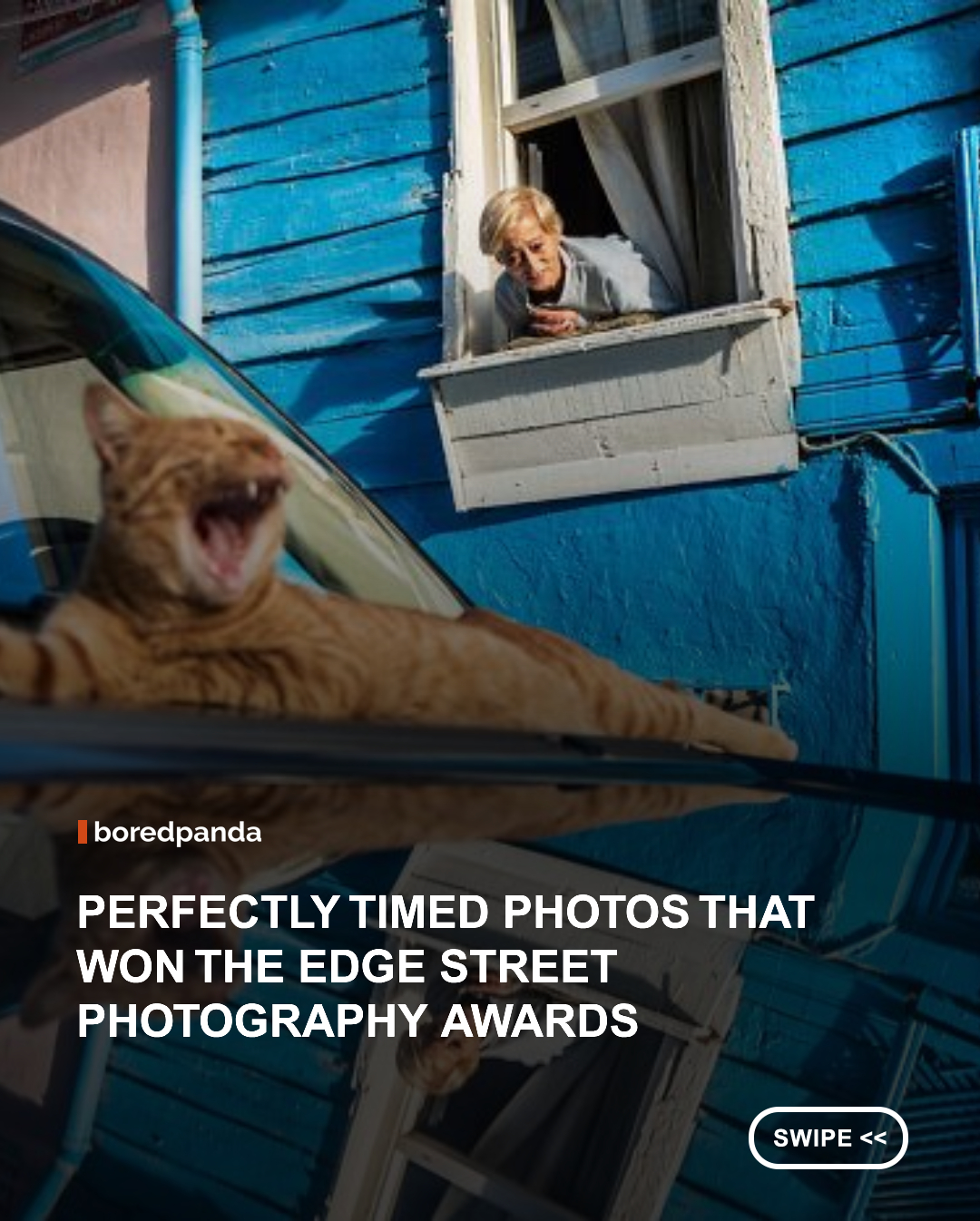 Street photography has a way of turning ordinary moments into something far more memorable. A passing expression, an unexpected coincidence, or the perfect alignment of people, light, and surroundings can transform an everyday scene into an image that feels funny, mysterious, dramatic, or even surreal. That unpredictable quality is at the heart of the photographs recognized by The Edge Street Photography Awards, a new competition celebrating compelling street photography from around the world.