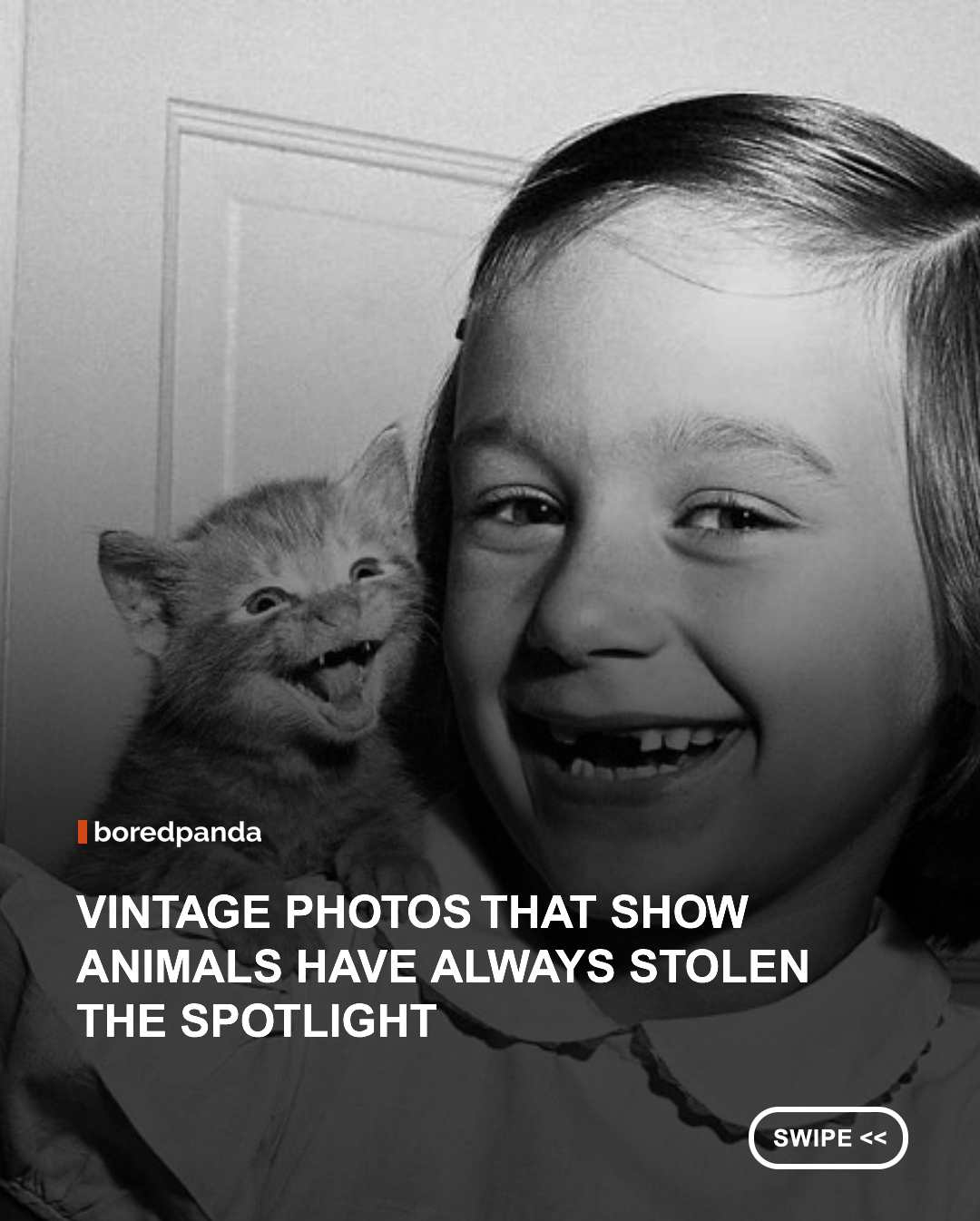  
Old photographs have a special way of transporting us to another time. The clothes, cars, hairstyles, and everyday surroundings may have changed dramatically over the decades, but one thing feels surprisingly familiar: the bond between people and animals. Across the years, they appear in family portraits, city streets, farms, and zoos, revealing the many roles they played as companions, workers, performers, and even unexpected participants in everyday life. Often unintentionally, these images also capture spontaneous moments that no photographer could have staged.